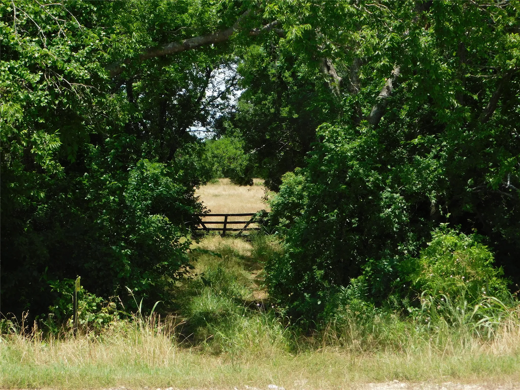 Improved Land For Sale in Hunt County , TBD Fm-272, Celeste, Texas 75423, 0, 0, Garage spaces, 0 Sqft, built in 0, Price $450,000, mls#21279371, Real Estate Agent in Celeste, Homes For Sale in Hunt county, Homes For Sale in Celeste, Realtor in Celeste Texas, Real Estate Brokerage Independent Realty Texas, Luminita Cordes Realtor