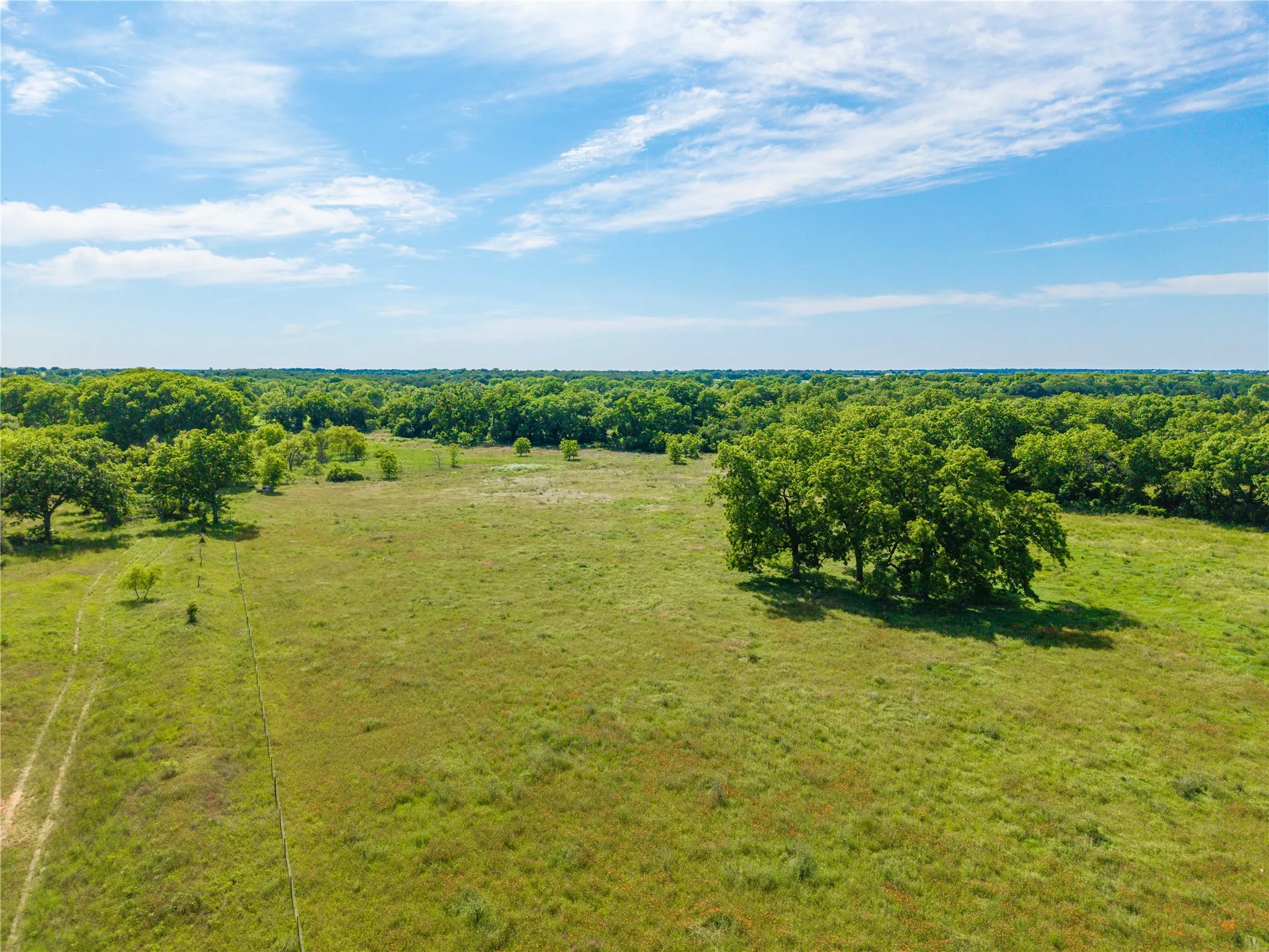 Ranch For Sale in Comanche County , 92.195 Acres TBD County Road 434, De Leon, Texas 76446, 0, 0, Garage spaces, 0 Sqft, built in 0, Price $898,901, mls#21279339, Real Estate Agent in De Leon, Homes For Sale in Comanche county, Homes For Sale in De Leon, Realtor in De Leon Texas, Real Estate Brokerage Independent Realty Texas, Luminita Cordes Realtor
