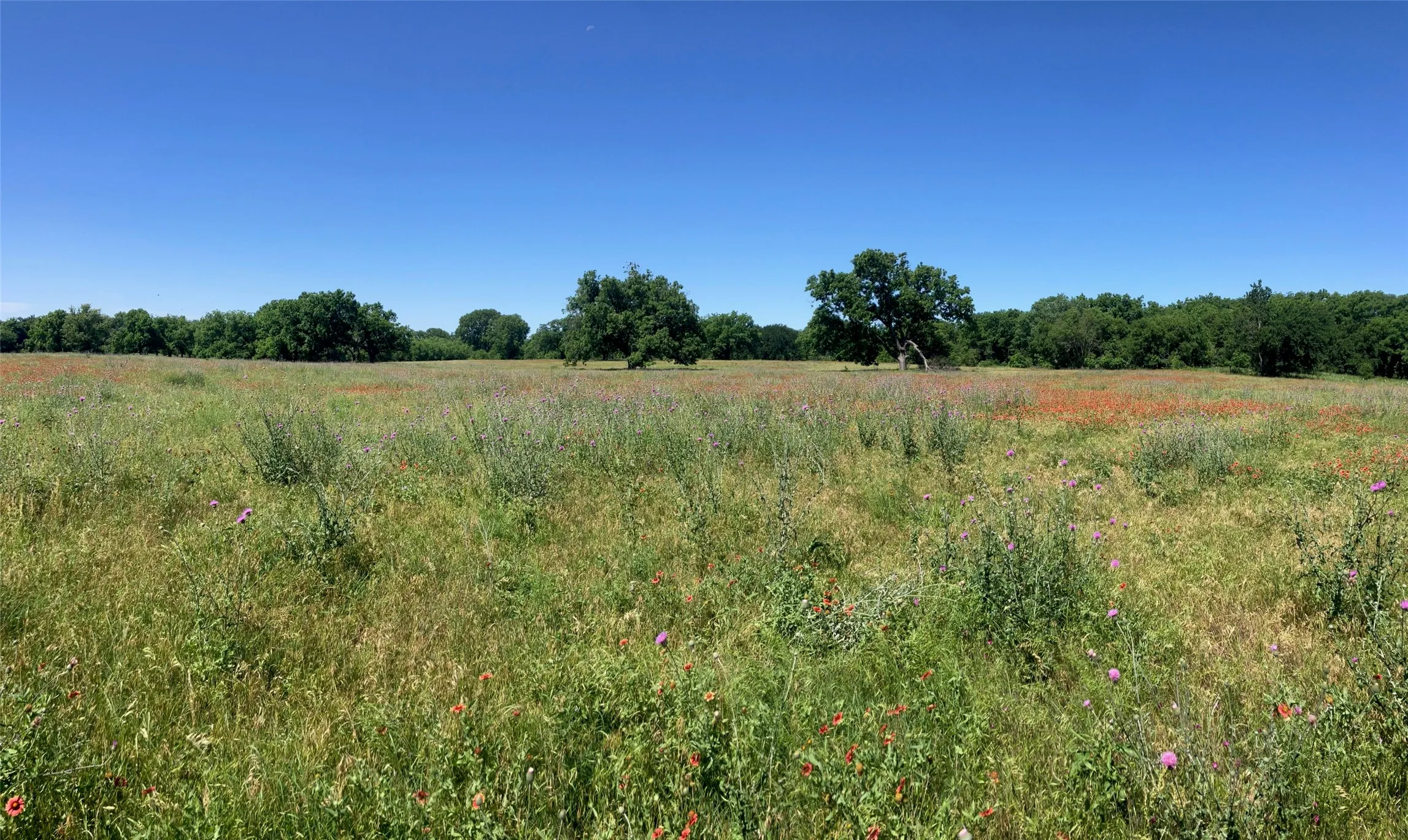 Ranch For Sale in Comanche County , 92.195 Acres TBD County Road 434, De Leon, Texas 76446, 0, 0, Garage spaces, 0 Sqft, built in 0, Price $898,901, mls#21279339, Real Estate Agent in De Leon, Homes For Sale in Comanche county, Homes For Sale in De Leon, Realtor in De Leon Texas, Real Estate Brokerage Independent Realty Texas, Luminita Cordes Realtor