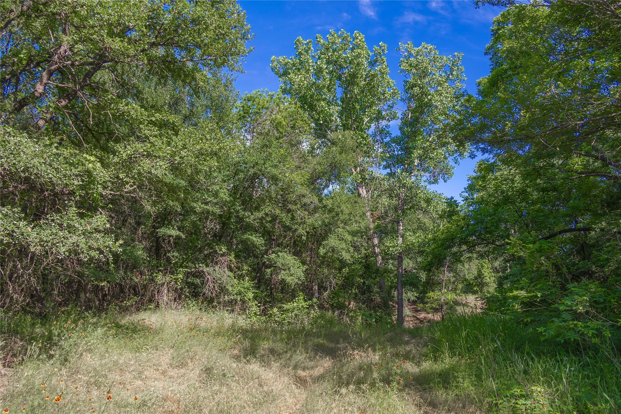 Ranch For Sale in Comanche County , 92.195 Acres TBD County Road 434, De Leon, Texas 76446, 0, 0, Garage spaces, 0 Sqft, built in 0, Price $898,901, mls#21279339, Real Estate Agent in De Leon, Homes For Sale in Comanche county, Homes For Sale in De Leon, Realtor in De Leon Texas, Real Estate Brokerage Independent Realty Texas, Luminita Cordes Realtor