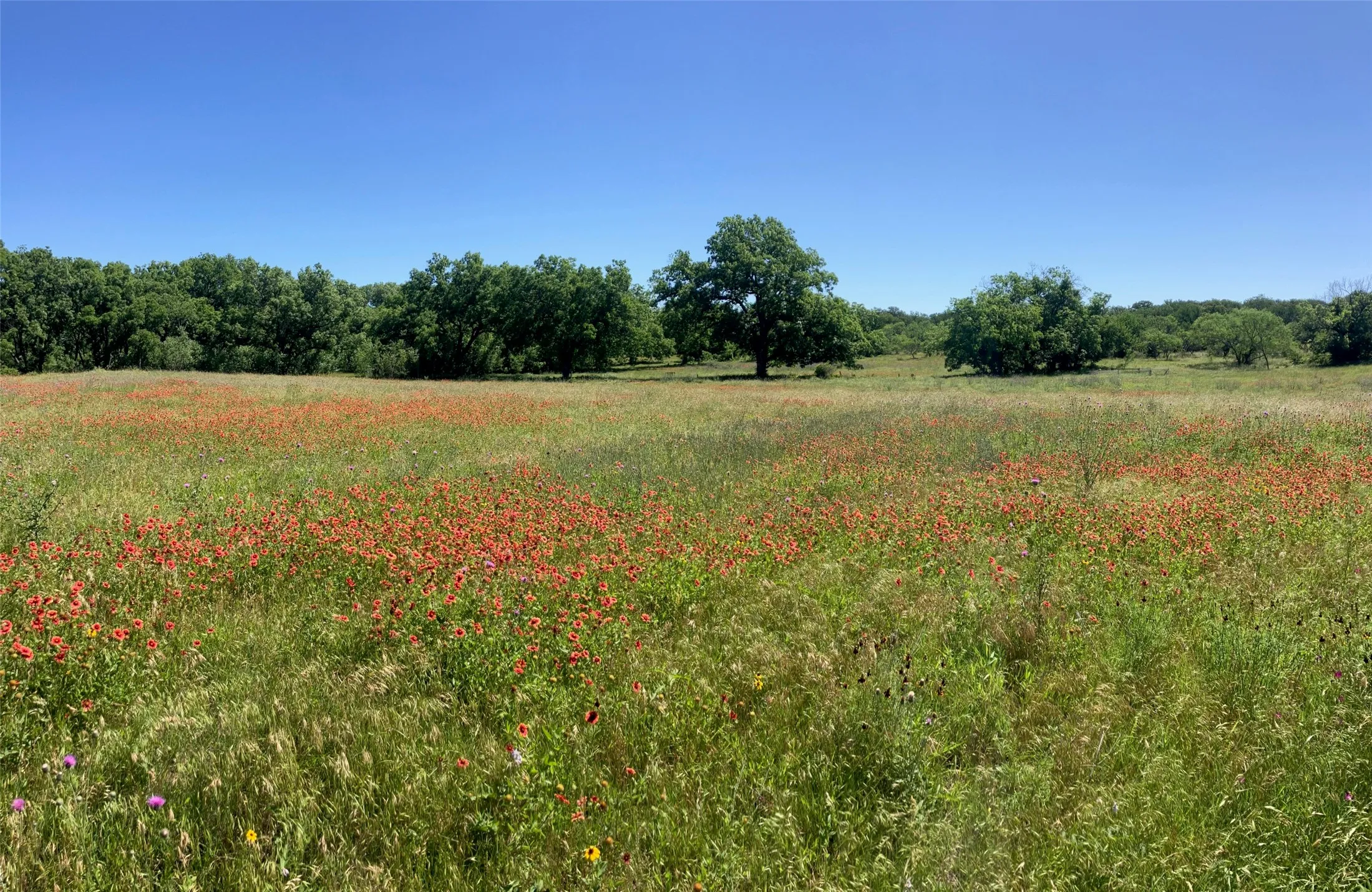 Ranch For Sale in Comanche County , 92.195 Acres TBD County Road 434, De Leon, Texas 76446, 0, 0, Garage spaces, 0 Sqft, built in 0, Price $898,901, mls#21279339, Real Estate Agent in De Leon, Homes For Sale in Comanche county, Homes For Sale in De Leon, Realtor in De Leon Texas, Real Estate Brokerage Independent Realty Texas, Luminita Cordes Realtor