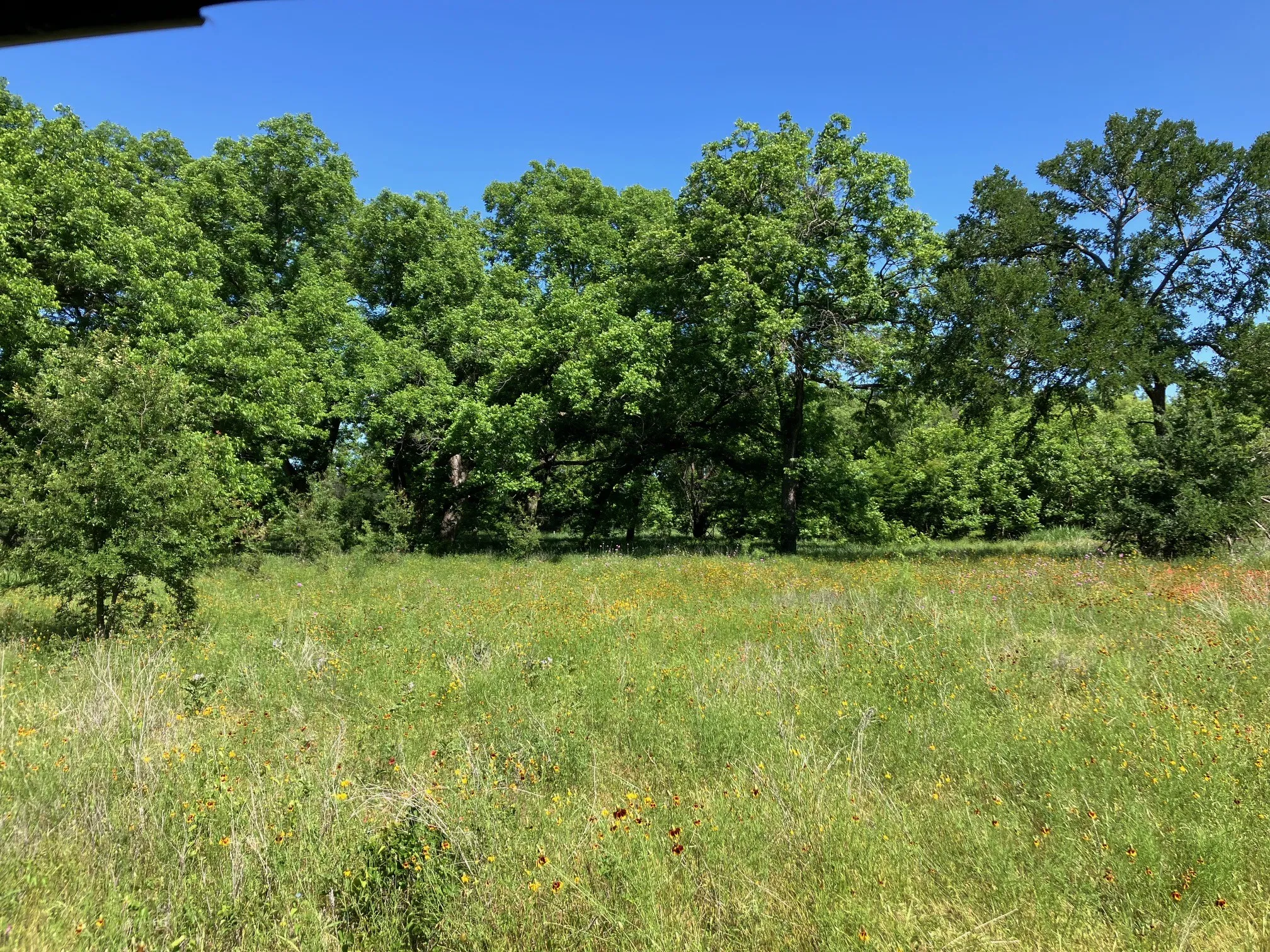 Ranch For Sale in Comanche County , 92.195 Acres TBD County Road 434, De Leon, Texas 76446, 0, 0, Garage spaces, 0 Sqft, built in 0, Price $898,901, mls#21279339, Real Estate Agent in De Leon, Homes For Sale in Comanche county, Homes For Sale in De Leon, Realtor in De Leon Texas, Real Estate Brokerage Independent Realty Texas, Luminita Cordes Realtor