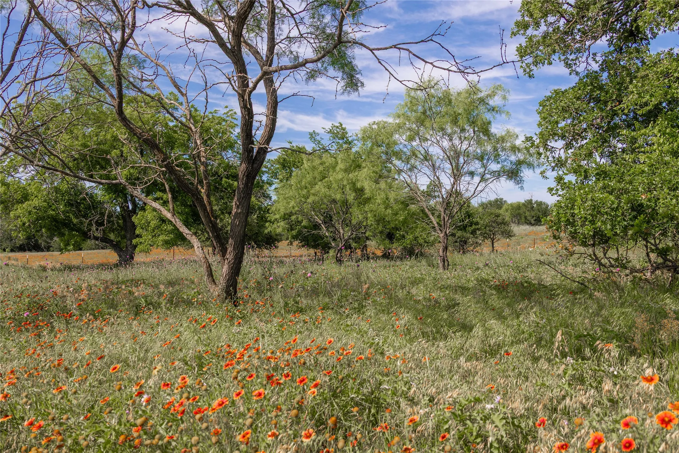 Ranch For Sale in Comanche County , 92.195 Acres TBD County Road 434, De Leon, Texas 76446, 0, 0, Garage spaces, 0 Sqft, built in 0, Price $898,901, mls#21279339, Real Estate Agent in De Leon, Homes For Sale in Comanche county, Homes For Sale in De Leon, Realtor in De Leon Texas, Real Estate Brokerage Independent Realty Texas, Luminita Cordes Realtor