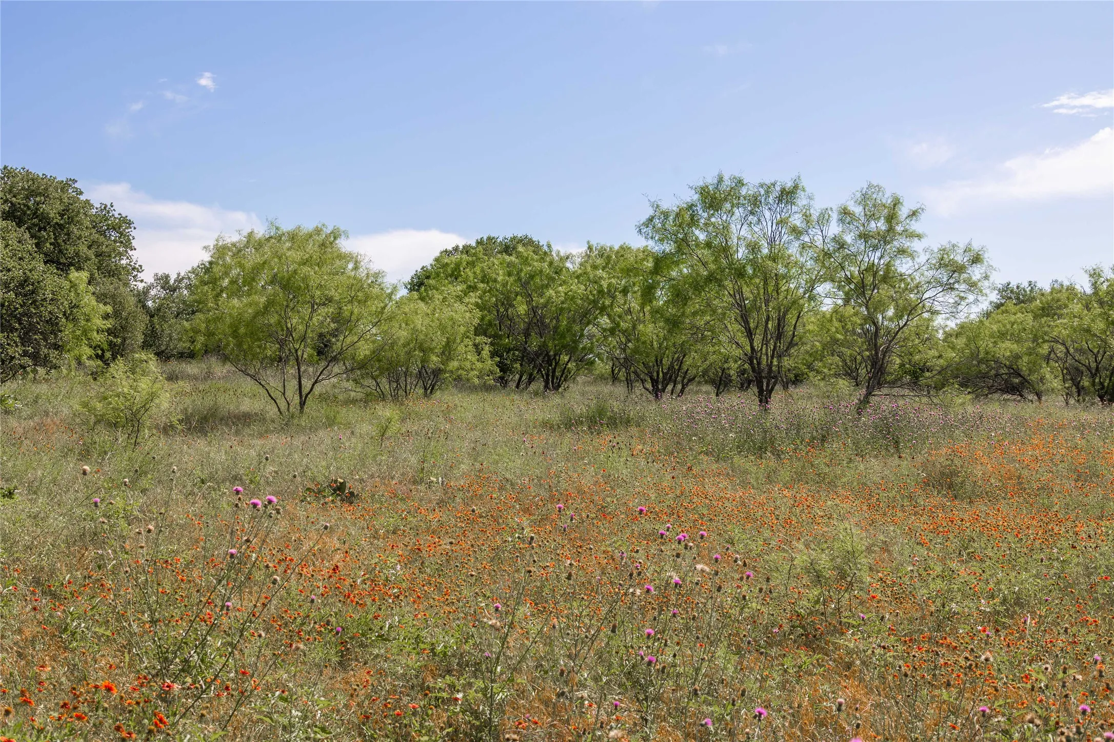 Ranch For Sale in Comanche County , 92.195 Acres TBD County Road 434, De Leon, Texas 76446, 0, 0, Garage spaces, 0 Sqft, built in 0, Price $898,901, mls#21279339, Real Estate Agent in De Leon, Homes For Sale in Comanche county, Homes For Sale in De Leon, Realtor in De Leon Texas, Real Estate Brokerage Independent Realty Texas, Luminita Cordes Realtor