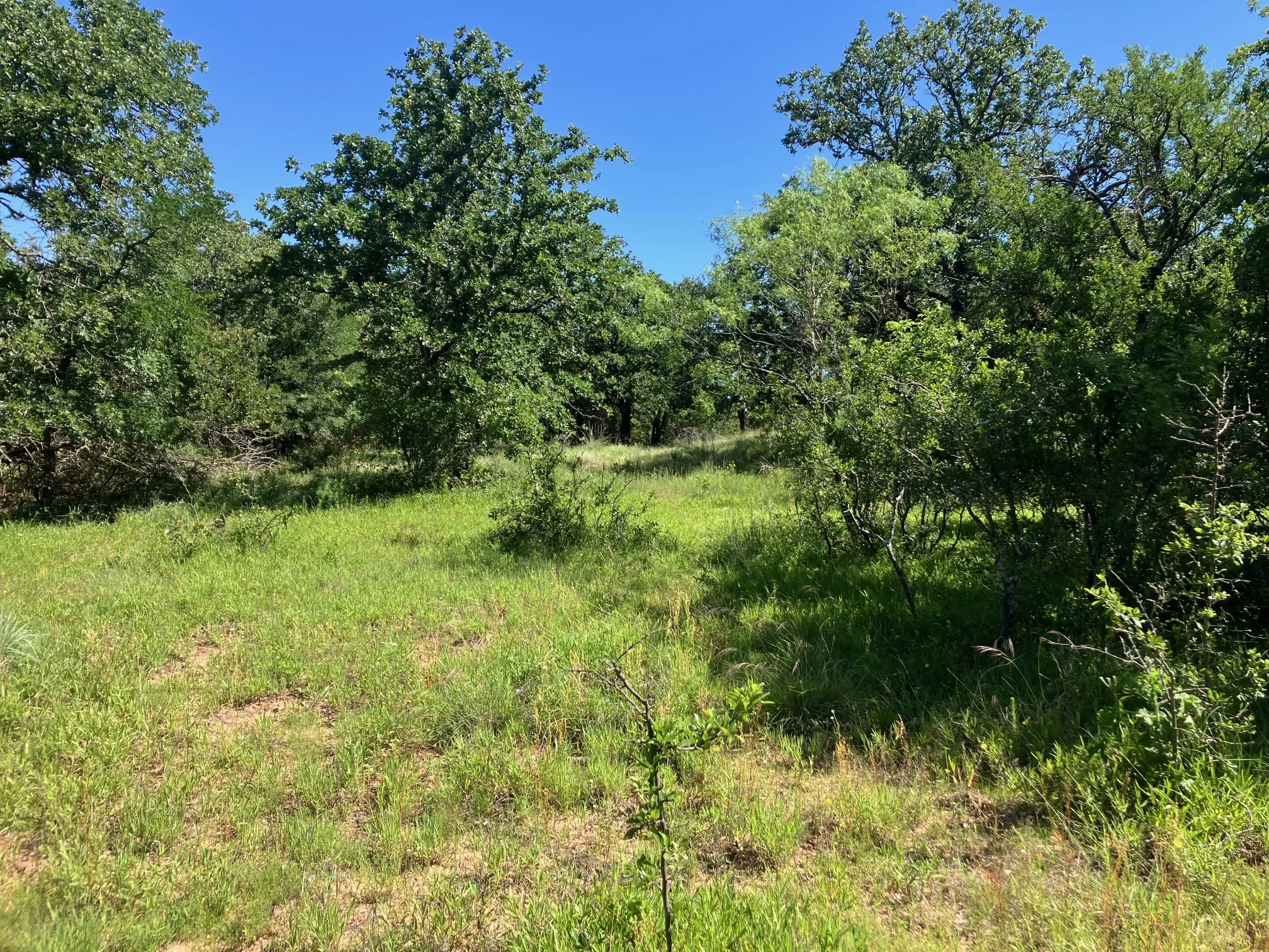 Ranch For Sale in Comanche County , 92.195 Acres TBD County Road 434, De Leon, Texas 76446, 0, 0, Garage spaces, 0 Sqft, built in 0, Price $898,901, mls#21279339, Real Estate Agent in De Leon, Homes For Sale in Comanche county, Homes For Sale in De Leon, Realtor in De Leon Texas, Real Estate Brokerage Independent Realty Texas, Luminita Cordes Realtor