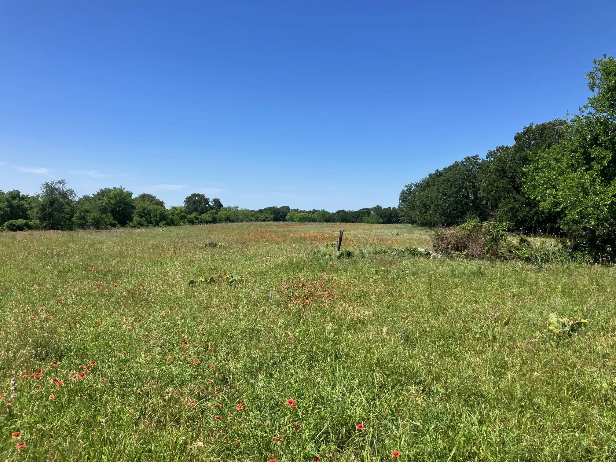Ranch For Sale in Comanche County , 92.195 Acres TBD County Road 434, De Leon, Texas 76446, 0, 0, Garage spaces, 0 Sqft, built in 0, Price $898,901, mls#21279339, Real Estate Agent in De Leon, Homes For Sale in Comanche county, Homes For Sale in De Leon, Realtor in De Leon Texas, Real Estate Brokerage Independent Realty Texas, Luminita Cordes Realtor