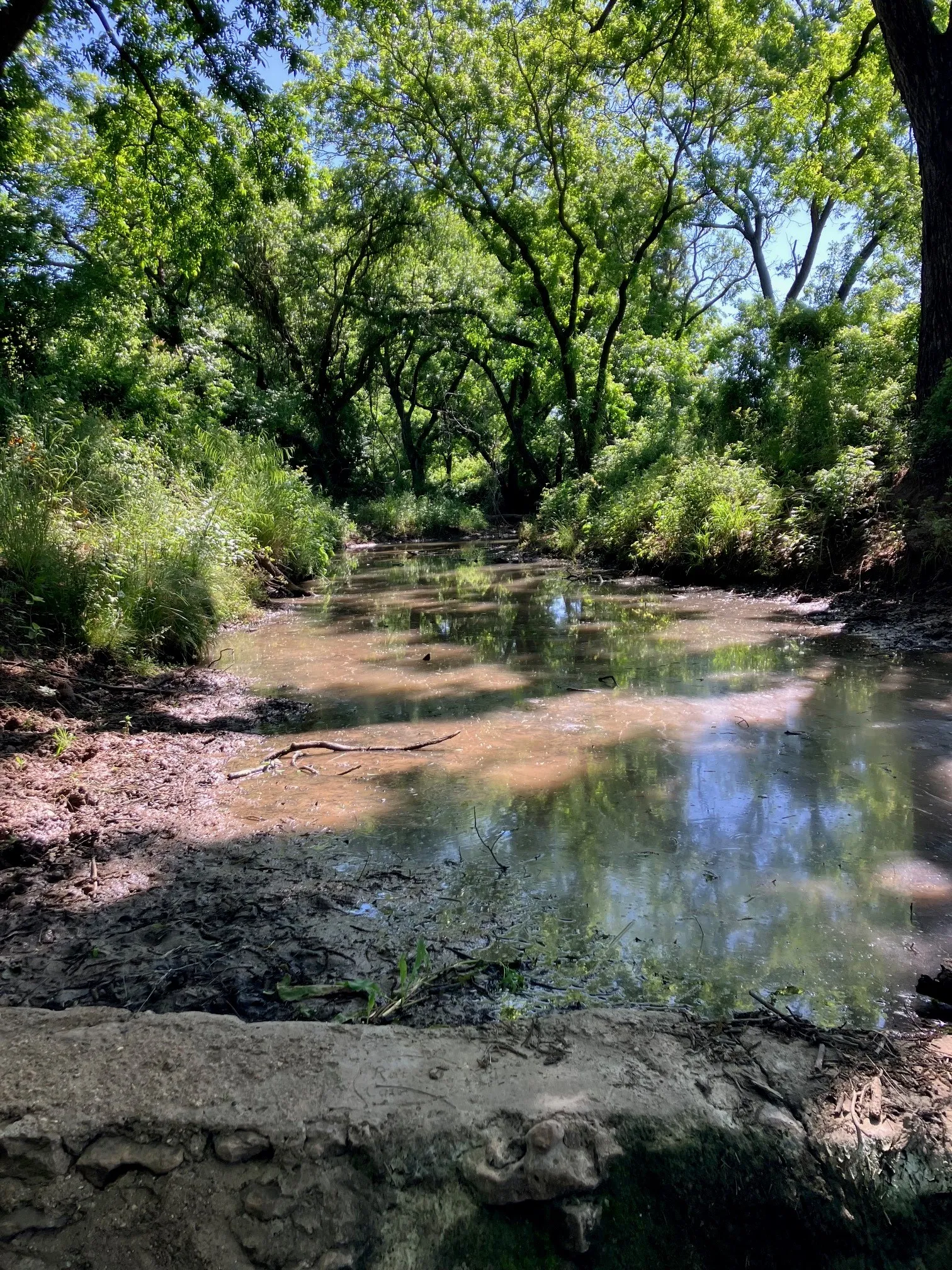 Ranch For Sale in Comanche County , 92.195 Acres TBD County Road 434, De Leon, Texas 76446, 0, 0, Garage spaces, 0 Sqft, built in 0, Price $898,901, mls#21279339, Real Estate Agent in De Leon, Homes For Sale in Comanche county, Homes For Sale in De Leon, Realtor in De Leon Texas, Real Estate Brokerage Independent Realty Texas, Luminita Cordes Realtor
