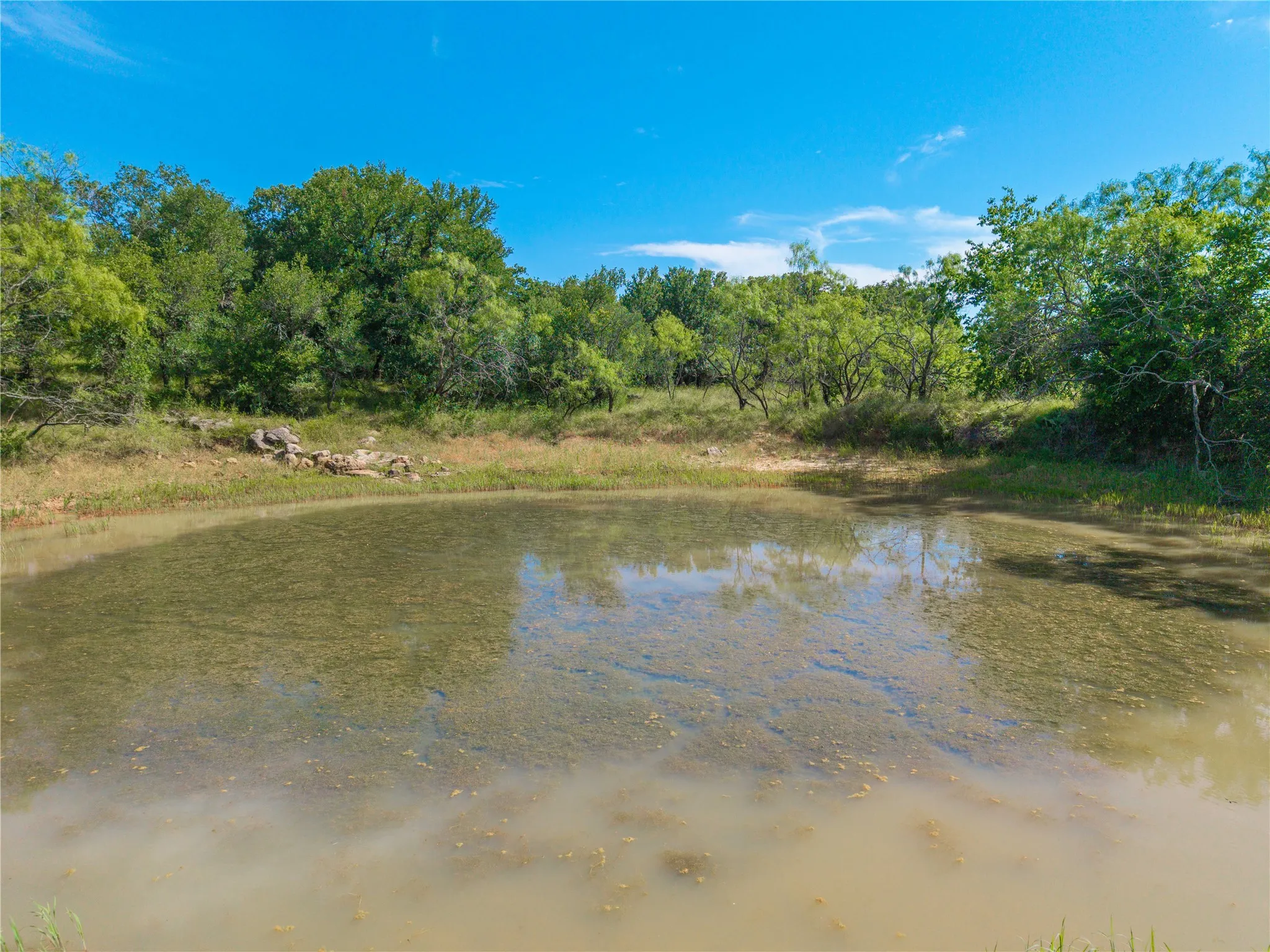 Ranch For Sale in Comanche County , 92.195 Acres TBD County Road 434, De Leon, Texas 76446, 0, 0, Garage spaces, 0 Sqft, built in 0, Price $898,901, mls#21279339, Real Estate Agent in De Leon, Homes For Sale in Comanche county, Homes For Sale in De Leon, Realtor in De Leon Texas, Real Estate Brokerage Independent Realty Texas, Luminita Cordes Realtor