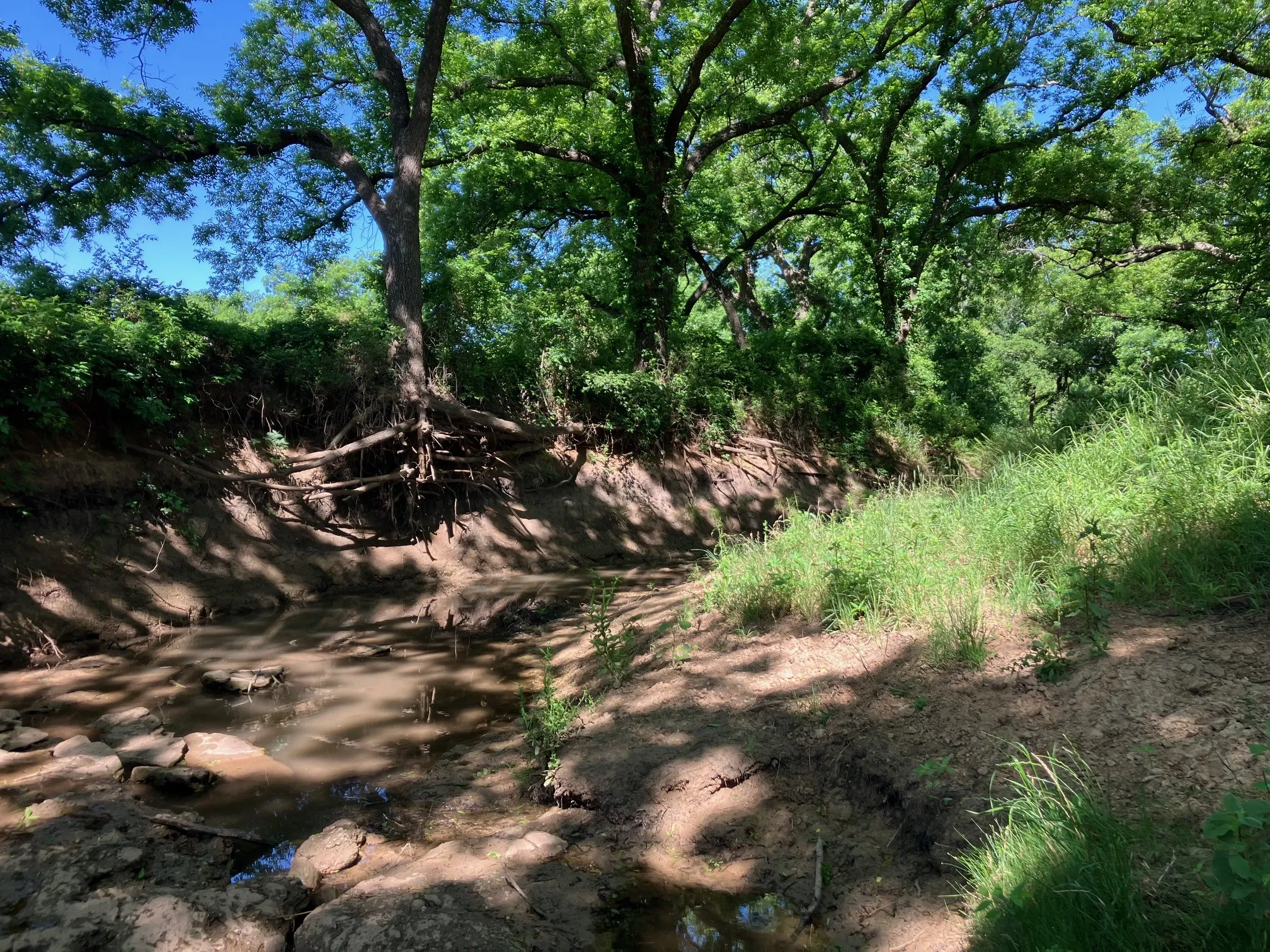 Ranch For Sale in Comanche County , 92.195 Acres TBD County Road 434, De Leon, Texas 76446, 0, 0, Garage spaces, 0 Sqft, built in 0, Price $898,901, mls#21279339, Real Estate Agent in De Leon, Homes For Sale in Comanche county, Homes For Sale in De Leon, Realtor in De Leon Texas, Real Estate Brokerage Independent Realty Texas, Luminita Cordes Realtor