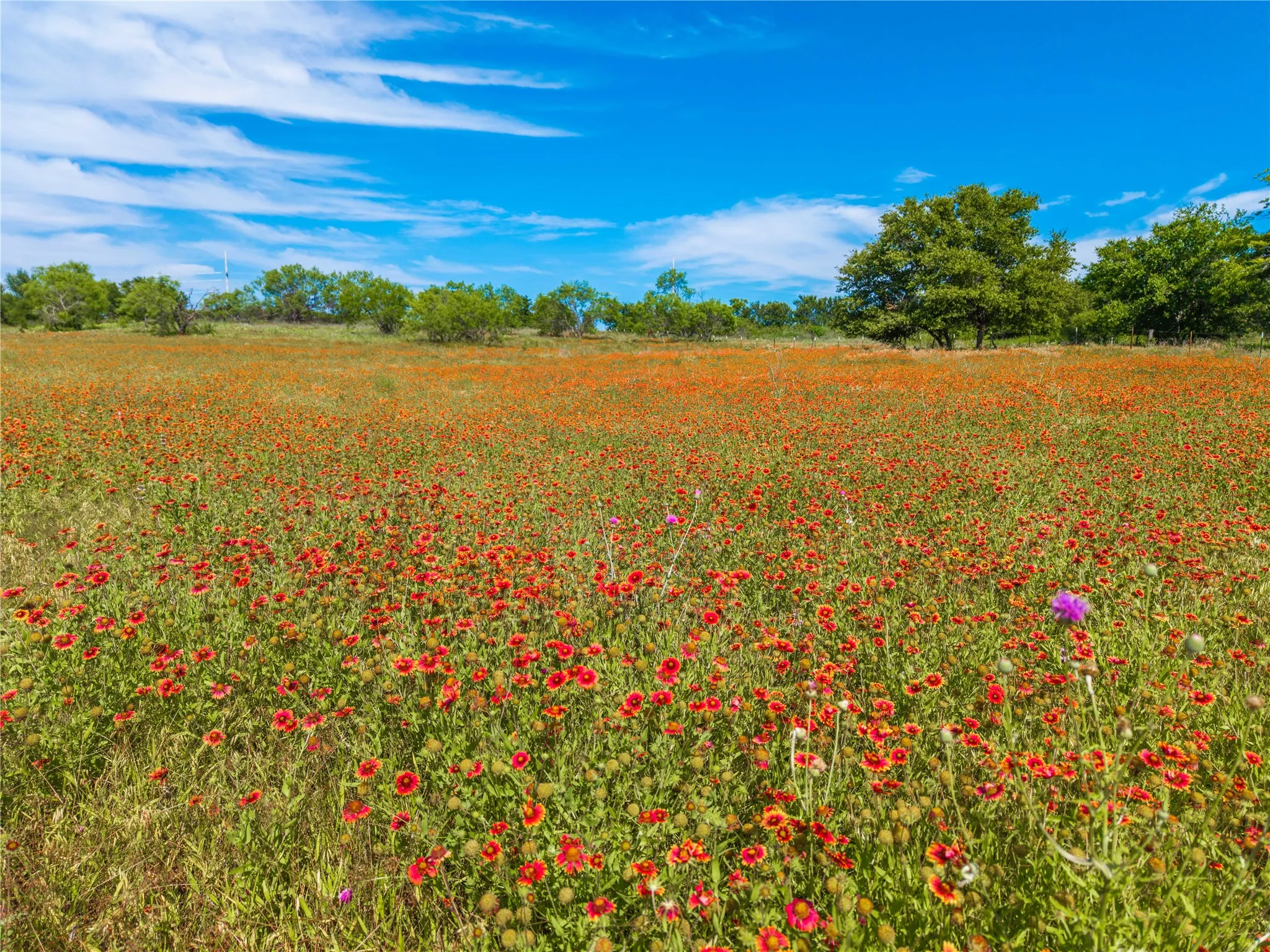 Ranch For Sale in Comanche County , 92.195 Acres TBD County Road 434, De Leon, Texas 76446, 0, 0, Garage spaces, 0 Sqft, built in 0, Price $898,901, mls#21279339, Real Estate Agent in De Leon, Homes For Sale in Comanche county, Homes For Sale in De Leon, Realtor in De Leon Texas, Real Estate Brokerage Independent Realty Texas, Luminita Cordes Realtor