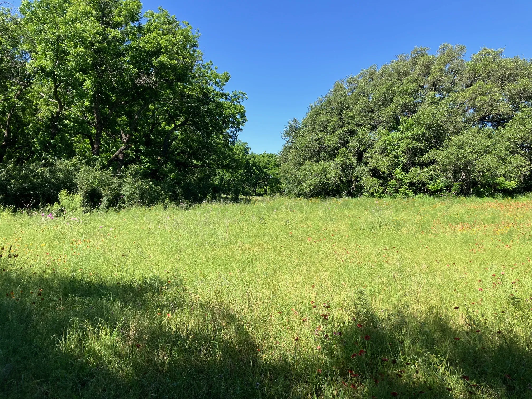 Ranch For Sale in Comanche County , 92.195 Acres TBD County Road 434, De Leon, Texas 76446, 0, 0, Garage spaces, 0 Sqft, built in 0, Price $898,901, mls#21279339, Real Estate Agent in De Leon, Homes For Sale in Comanche county, Homes For Sale in De Leon, Realtor in De Leon Texas, Real Estate Brokerage Independent Realty Texas, Luminita Cordes Realtor