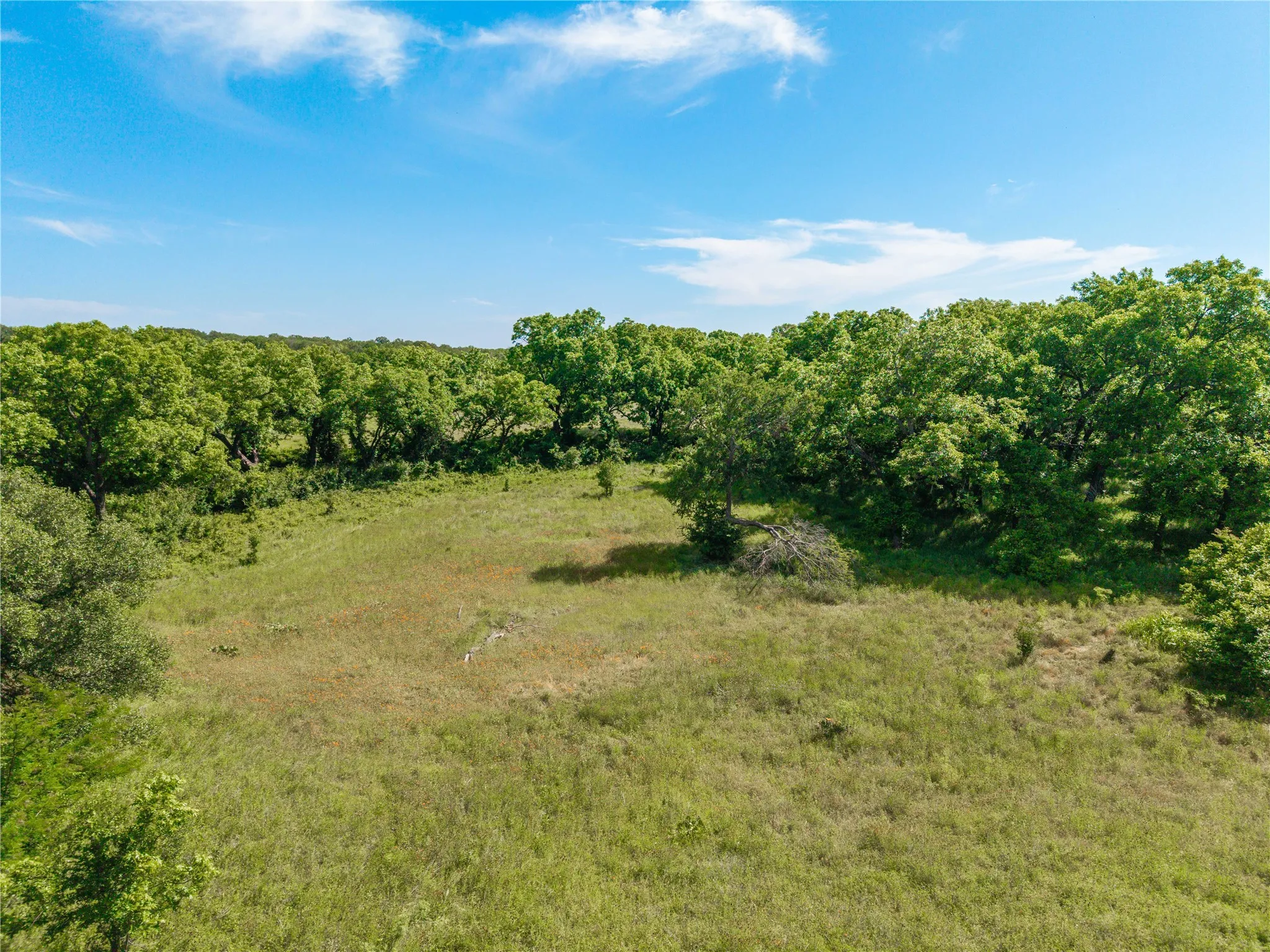 Ranch For Sale in Comanche County , 92.195 Acres TBD County Road 434, De Leon, Texas 76446, 0, 0, Garage spaces, 0 Sqft, built in 0, Price $898,901, mls#21279339, Real Estate Agent in De Leon, Homes For Sale in Comanche county, Homes For Sale in De Leon, Realtor in De Leon Texas, Real Estate Brokerage Independent Realty Texas, Luminita Cordes Realtor
