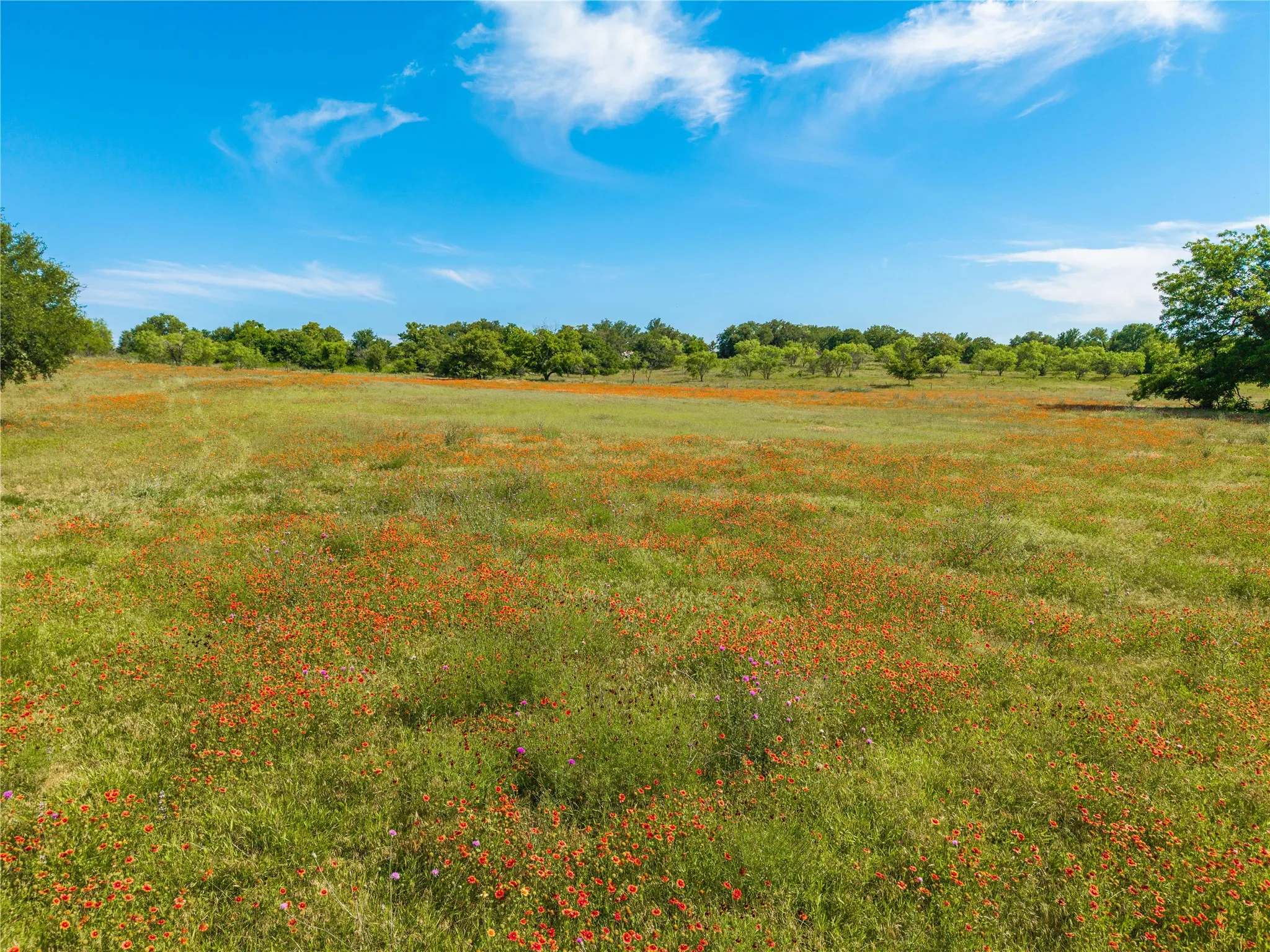 Ranch For Sale in Comanche County , 92.195 Acres TBD County Road 434, De Leon, Texas 76446, 0, 0, Garage spaces, 0 Sqft, built in 0, Price $898,901, mls#21279339, Real Estate Agent in De Leon, Homes For Sale in Comanche county, Homes For Sale in De Leon, Realtor in De Leon Texas, Real Estate Brokerage Independent Realty Texas, Luminita Cordes Realtor