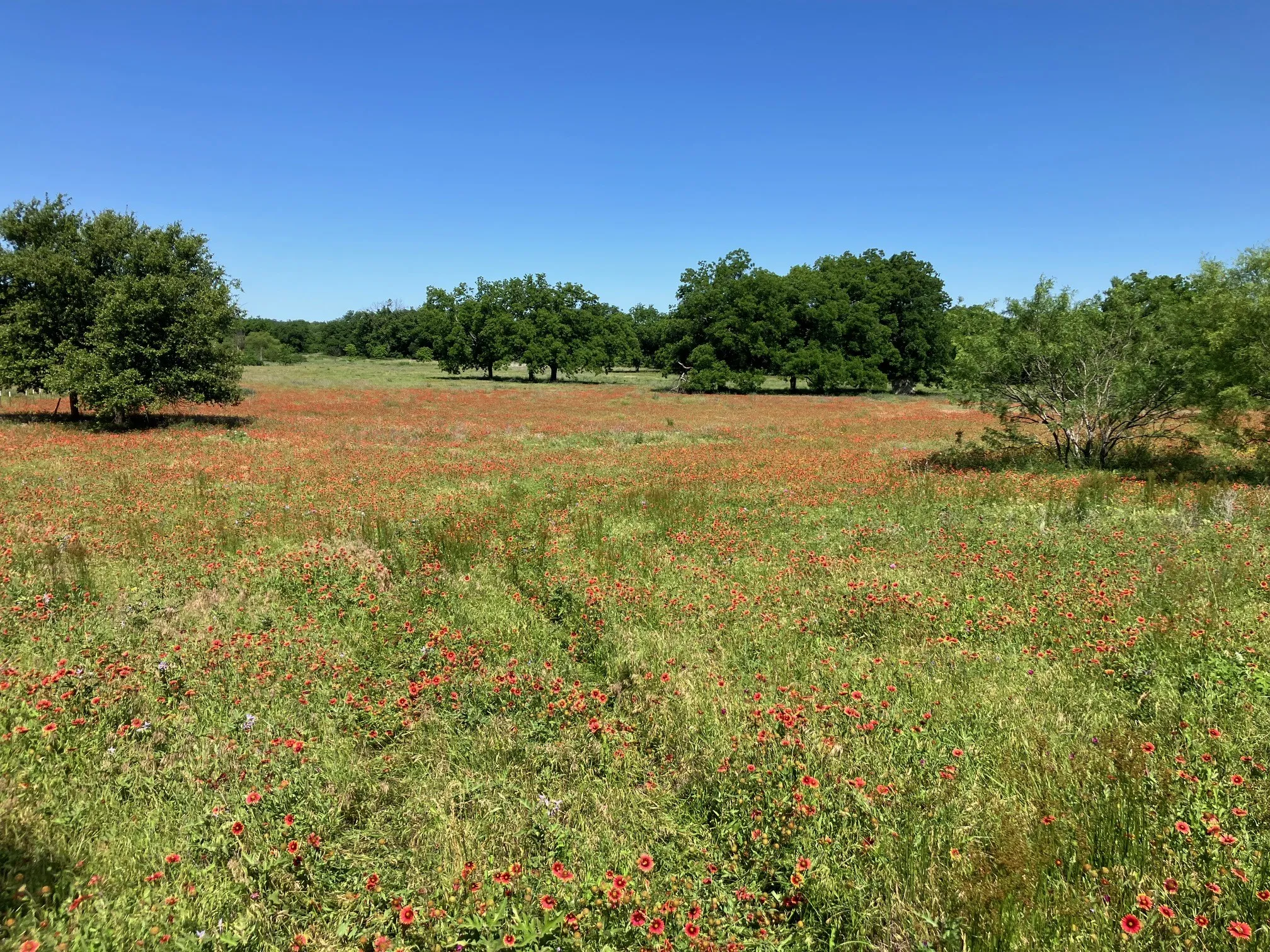 Ranch For Sale in Comanche County , 92.195 Acres TBD County Road 434, De Leon, Texas 76446, 0, 0, Garage spaces, 0 Sqft, built in 0, Price $898,901, mls#21279339, Real Estate Agent in De Leon, Homes For Sale in Comanche county, Homes For Sale in De Leon, Realtor in De Leon Texas, Real Estate Brokerage Independent Realty Texas, Luminita Cordes Realtor