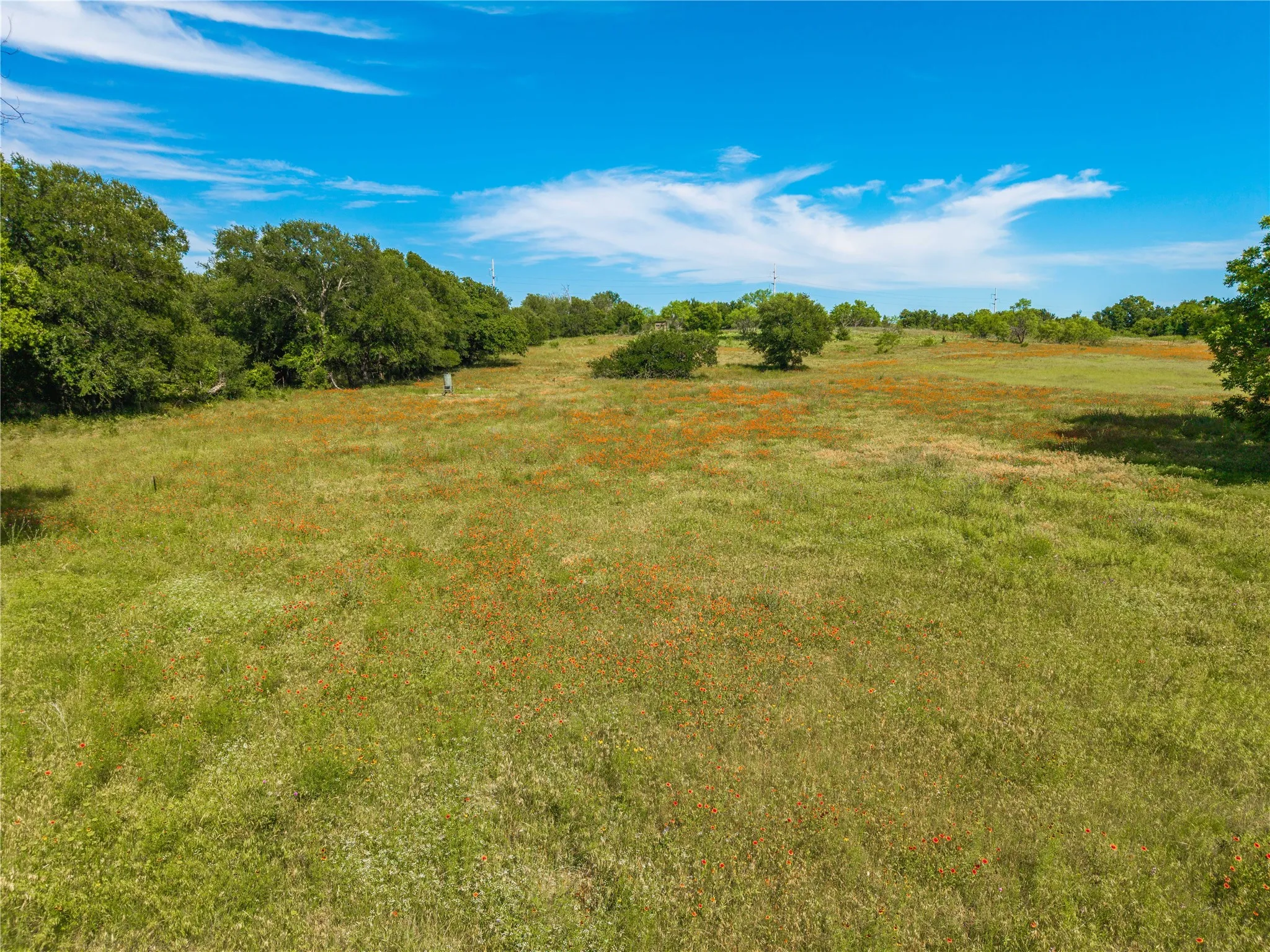 Ranch For Sale in Comanche County , 92.195 Acres TBD County Road 434, De Leon, Texas 76446, 0, 0, Garage spaces, 0 Sqft, built in 0, Price $898,901, mls#21279339, Real Estate Agent in De Leon, Homes For Sale in Comanche county, Homes For Sale in De Leon, Realtor in De Leon Texas, Real Estate Brokerage Independent Realty Texas, Luminita Cordes Realtor