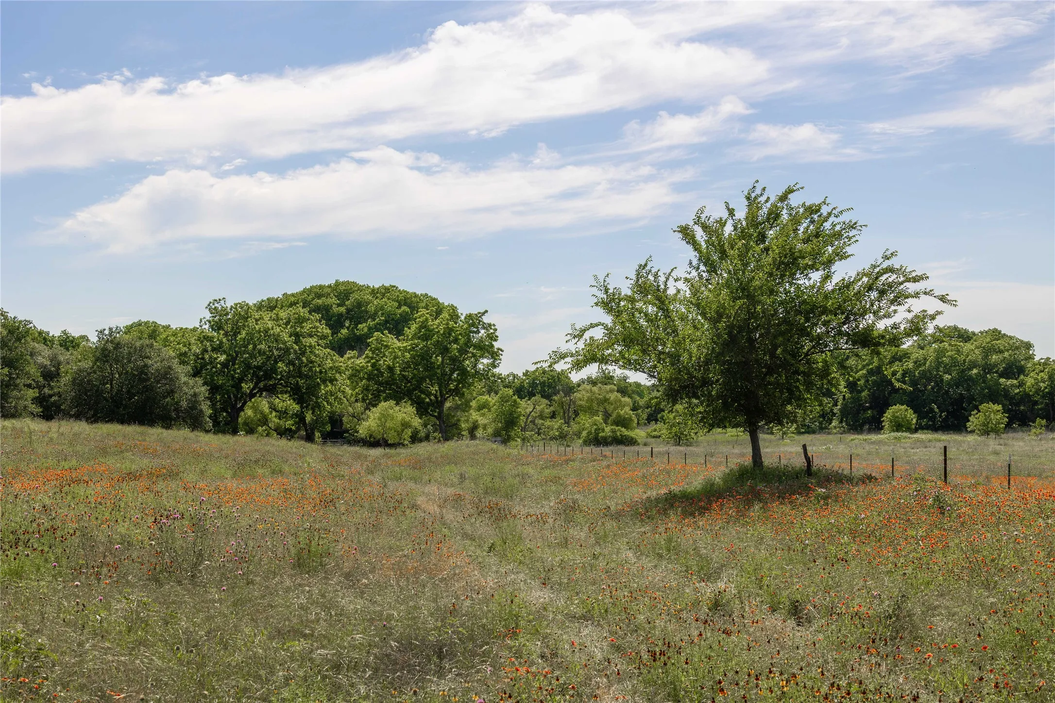 Ranch For Sale in Comanche County , 92.195 Acres TBD County Road 434, De Leon, Texas 76446, 0, 0, Garage spaces, 0 Sqft, built in 0, Price $898,901, mls#21279339, Real Estate Agent in De Leon, Homes For Sale in Comanche county, Homes For Sale in De Leon, Realtor in De Leon Texas, Real Estate Brokerage Independent Realty Texas, Luminita Cordes Realtor