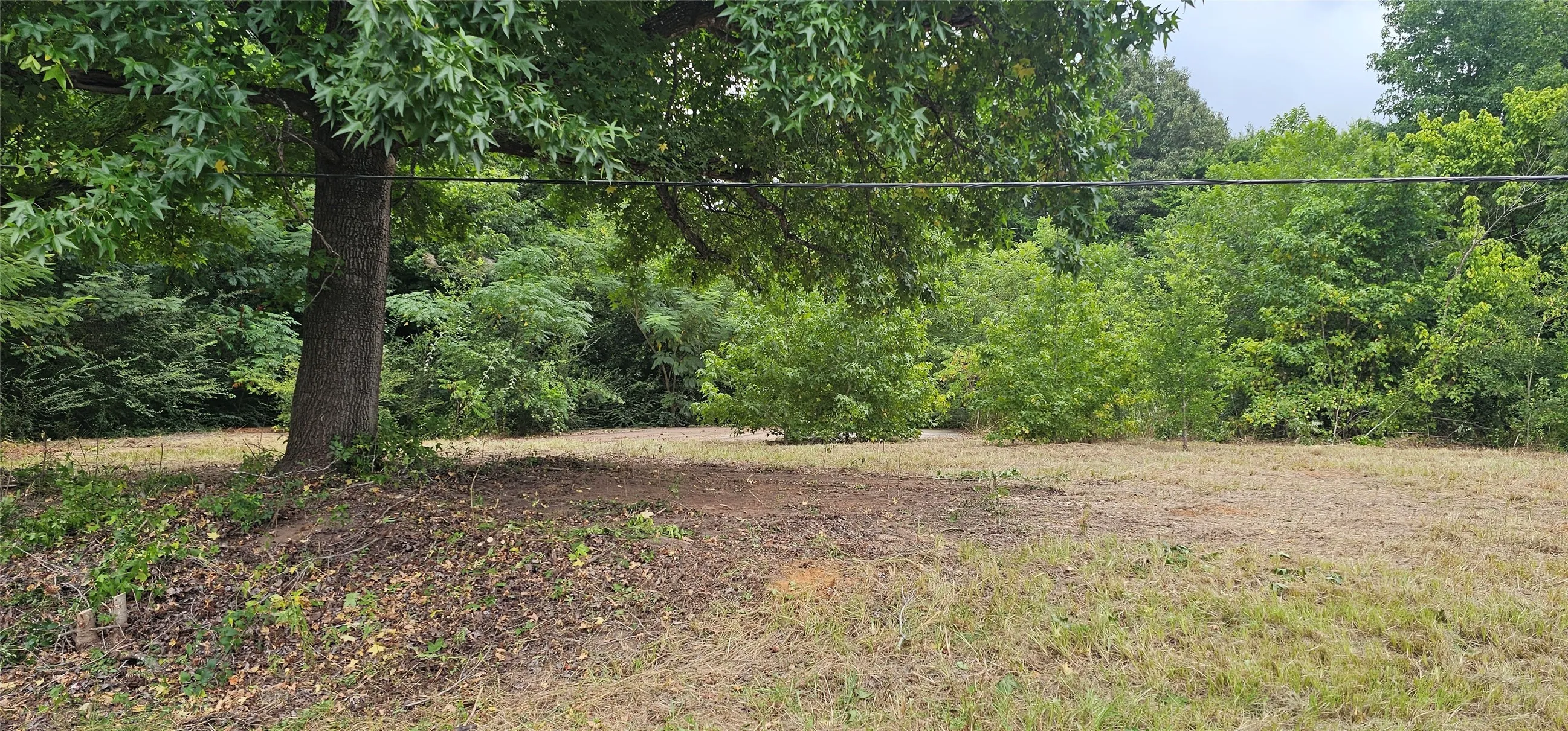 Improved Land For Sale in Van Zandt County , 618 N Oleander Street, Grand Saline, Texas 75140, 0, 0, Garage spaces, 0 Sqft, built in 0, Price $98,000, mls#21279394, Real Estate Agent in Grand Saline, Homes For Sale in Van Zandt county, Homes For Sale in Grand Saline, Realtor in Grand Saline Texas, Real Estate Brokerage Independent Realty Texas, Luminita Cordes Realtor