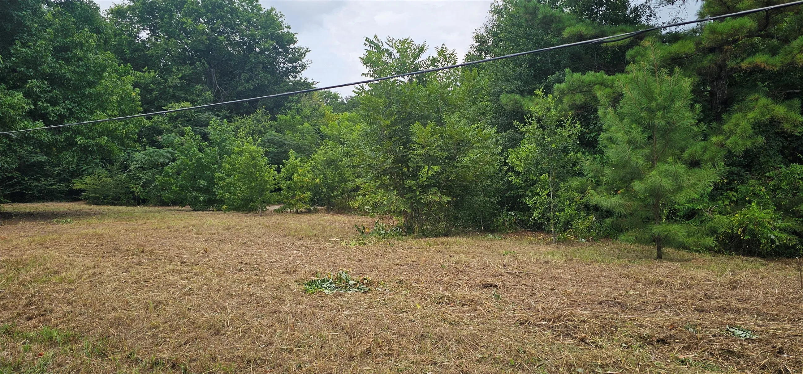 Improved Land For Sale in Van Zandt County , 618 N Oleander Street, Grand Saline, Texas 75140, 0, 0, Garage spaces, 0 Sqft, built in 0, Price $98,000, mls#21279394, Real Estate Agent in Grand Saline, Homes For Sale in Van Zandt county, Homes For Sale in Grand Saline, Realtor in Grand Saline Texas, Real Estate Brokerage Independent Realty Texas, Luminita Cordes Realtor