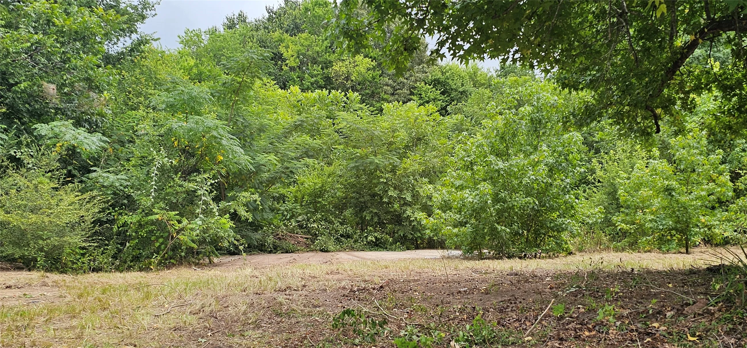 Improved Land For Sale in Van Zandt County , 618 N Oleander Street, Grand Saline, Texas 75140, 0, 0, Garage spaces, 0 Sqft, built in 0, Price $98,000, mls#21279394, Real Estate Agent in Grand Saline, Homes For Sale in Van Zandt county, Homes For Sale in Grand Saline, Realtor in Grand Saline Texas, Real Estate Brokerage Independent Realty Texas, Luminita Cordes Realtor