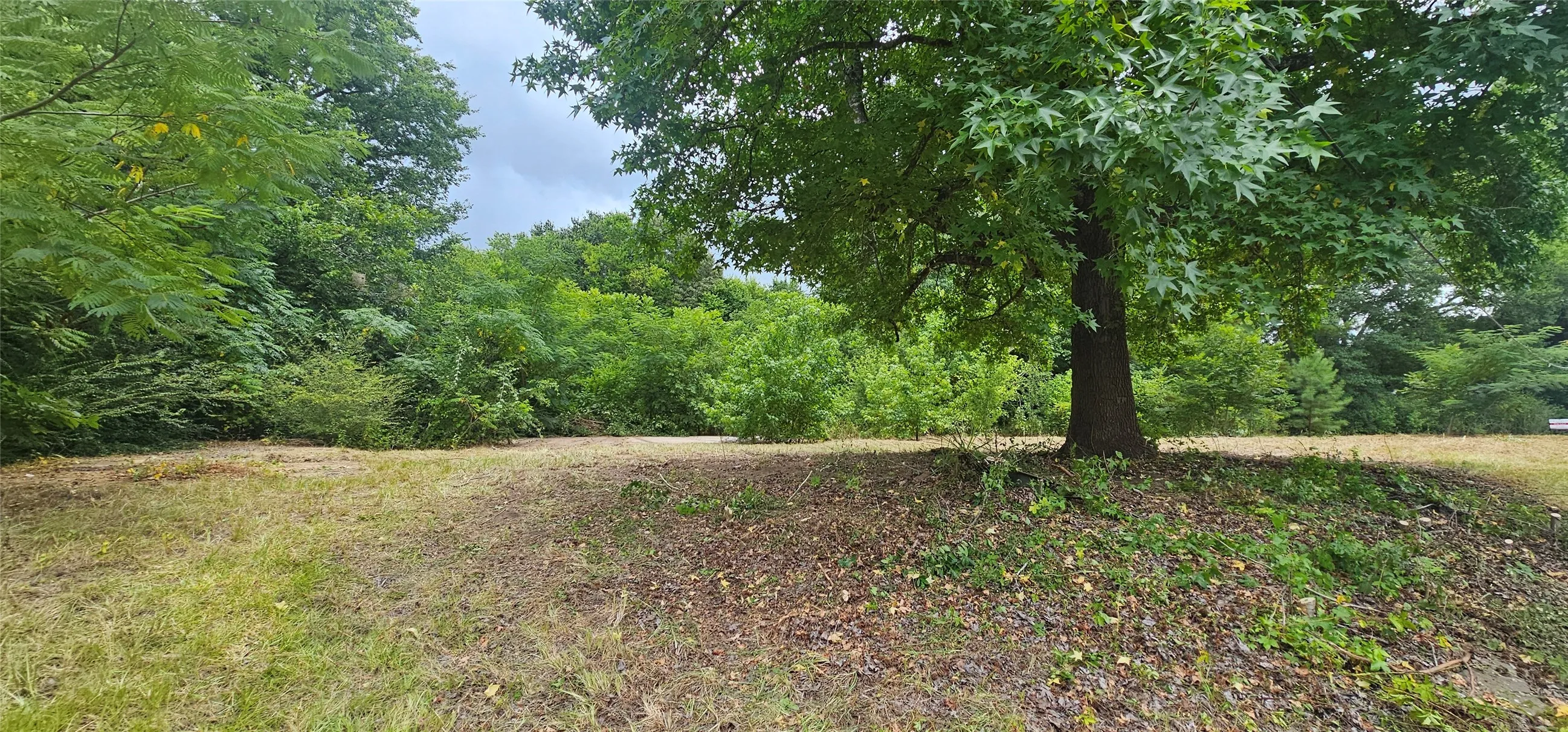 Improved Land For Sale in Van Zandt County , 618 N Oleander Street, Grand Saline, Texas 75140, 0, 0, Garage spaces, 0 Sqft, built in 0, Price $98,000, mls#21279394, Real Estate Agent in Grand Saline, Homes For Sale in Van Zandt county, Homes For Sale in Grand Saline, Realtor in Grand Saline Texas, Real Estate Brokerage Independent Realty Texas, Luminita Cordes Realtor