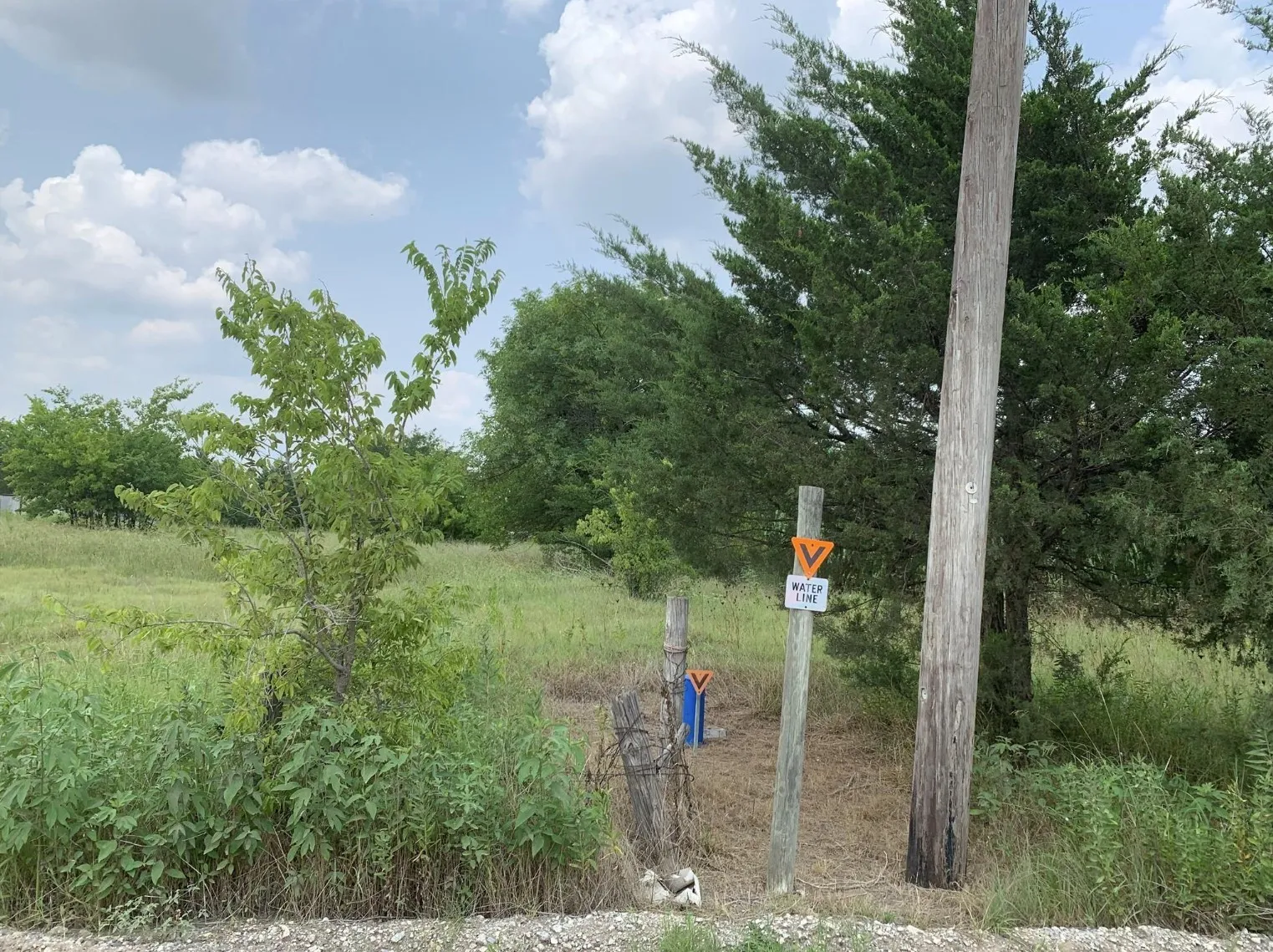 Unimproved Land For Sale in Hunt County , 5124 County Road 2658, Royse City, Texas 75189, 0, 0, Garage spaces, 0 Sqft, built in 0, mls#21279400, Real Estate Agent in Royse City, Homes For Sale in Hunt county, Homes For Sale in Royse City, Realtor in Royse City Texas, Real Estate Brokerage Independent Realty Texas, Luminita Cordes Realtor