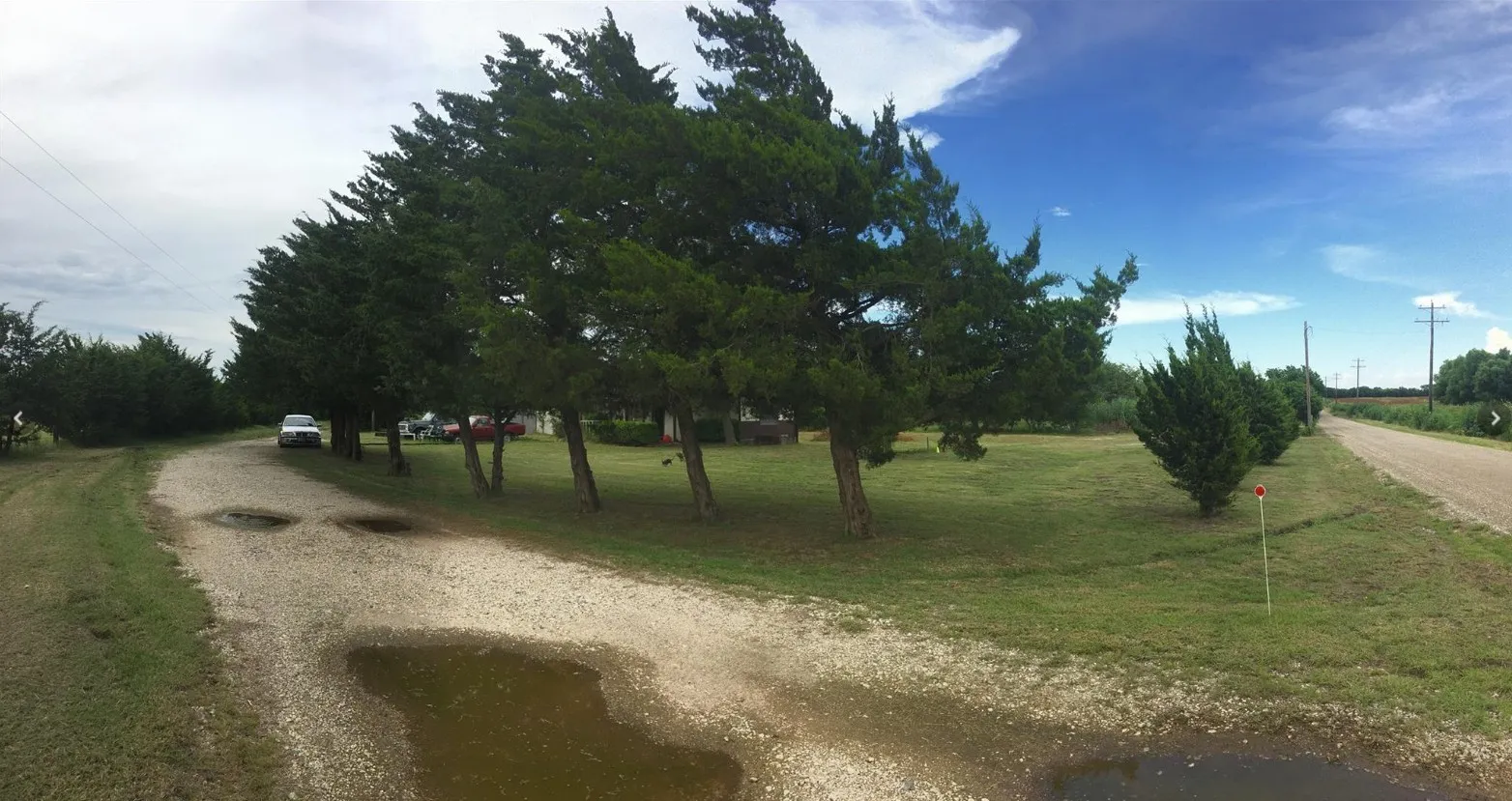 Gravel drive with mature evergreen trees and expansive green lawn