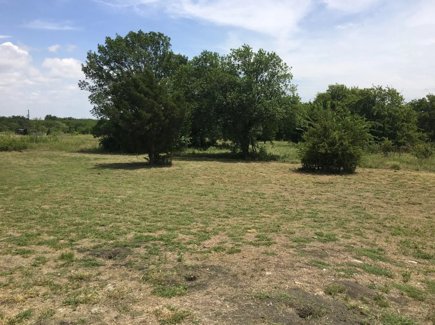 Expansive green space featuring mature trees and natural landscaping