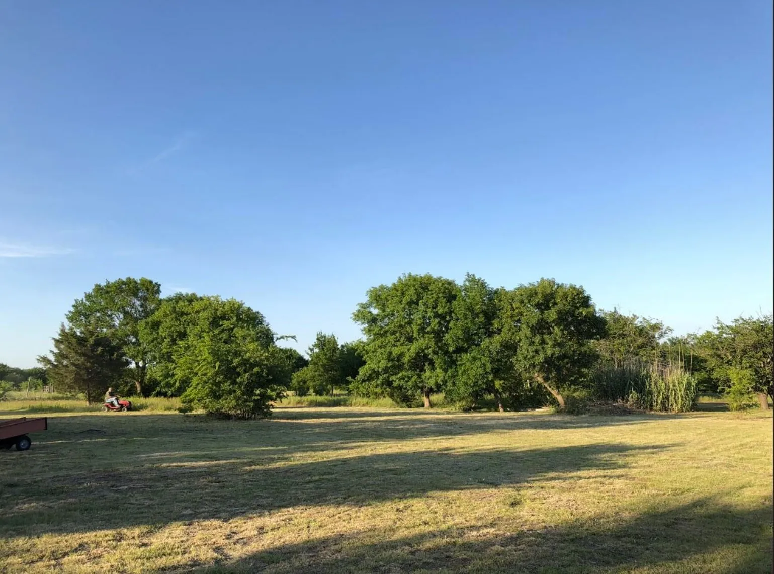 Unimproved Land For Sale in Hunt County , 5124 County Road 2658, Royse City, Texas 75189, 0, 0, Garage spaces, 0 Sqft, built in 0, mls#21279400, Real Estate Agent in Royse City, Homes For Sale in Hunt county, Homes For Sale in Royse City, Realtor in Royse City Texas, Real Estate Brokerage Independent Realty Texas, Luminita Cordes Realtor