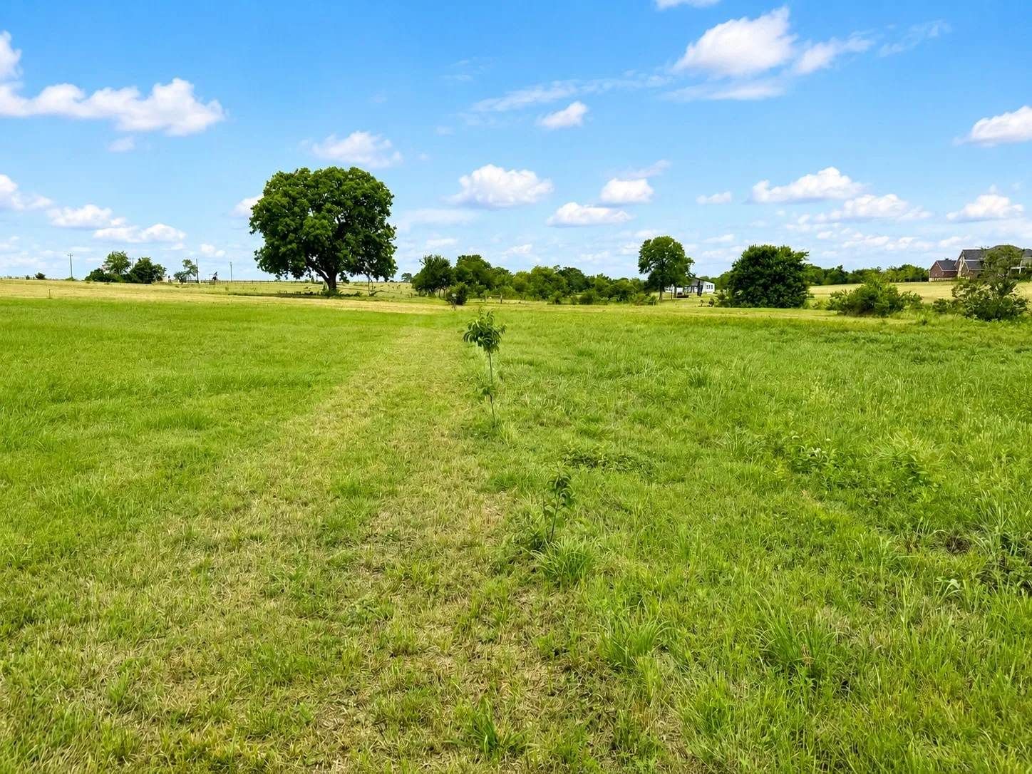 Unimproved Land For Sale in Navarro County , Lot 18 Chandler Drive, Corsicana, Texas 75109, 0, 0, Garage spaces, 0 Sqft, built in 0, mls#21279241, Real Estate Agent in Corsicana, Homes For Sale in Navarro county, Homes For Sale in Corsicana, Realtor in Corsicana Texas, Real Estate Brokerage Independent Realty Texas, Luminita Cordes Realtor