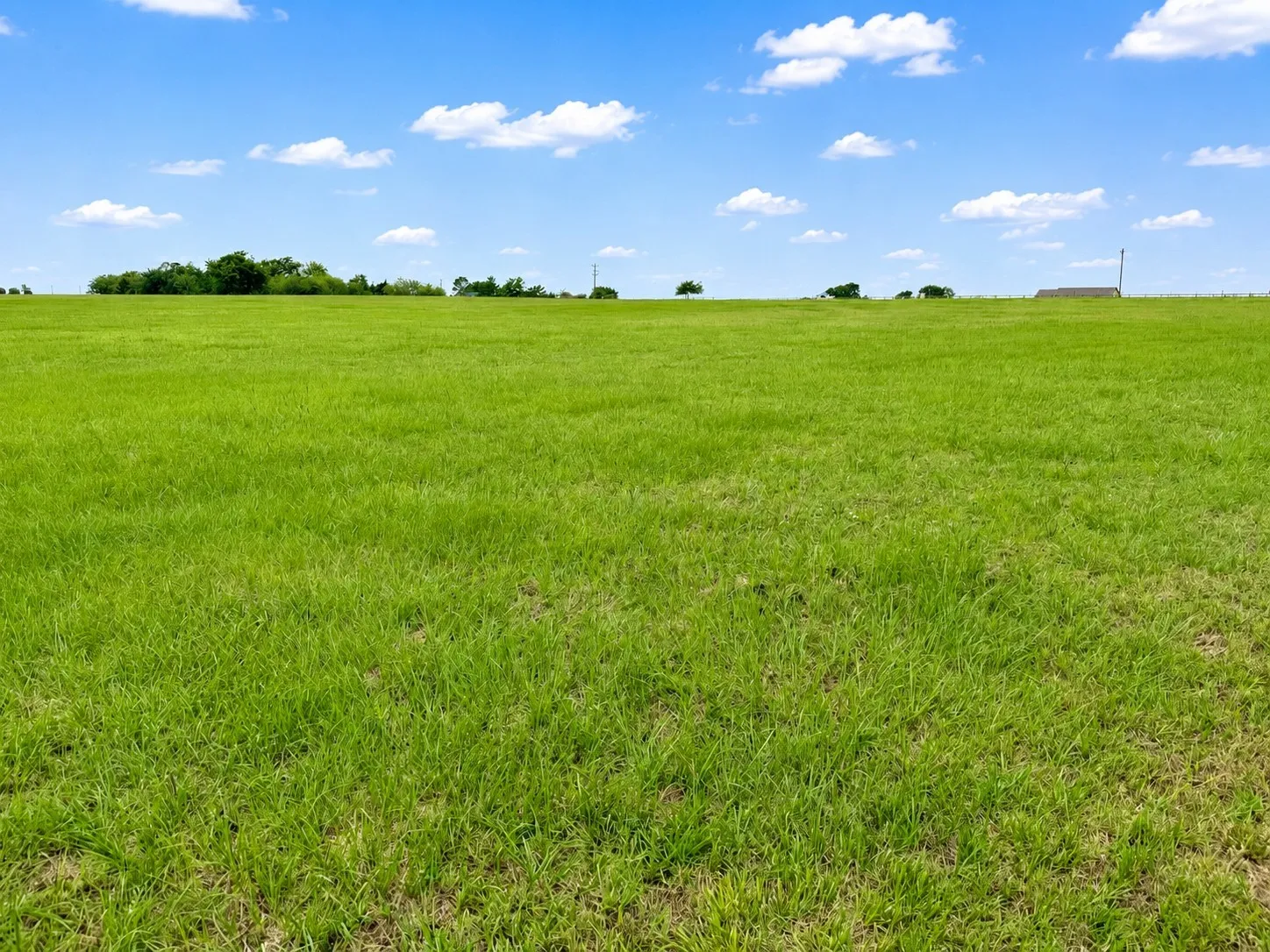 Unimproved Land For Sale in Navarro County , Lot 18 Chandler Drive, Corsicana, Texas 75109, 0, 0, Garage spaces, 0 Sqft, built in 0, mls#21279241, Real Estate Agent in Corsicana, Homes For Sale in Navarro county, Homes For Sale in Corsicana, Realtor in Corsicana Texas, Real Estate Brokerage Independent Realty Texas, Luminita Cordes Realtor