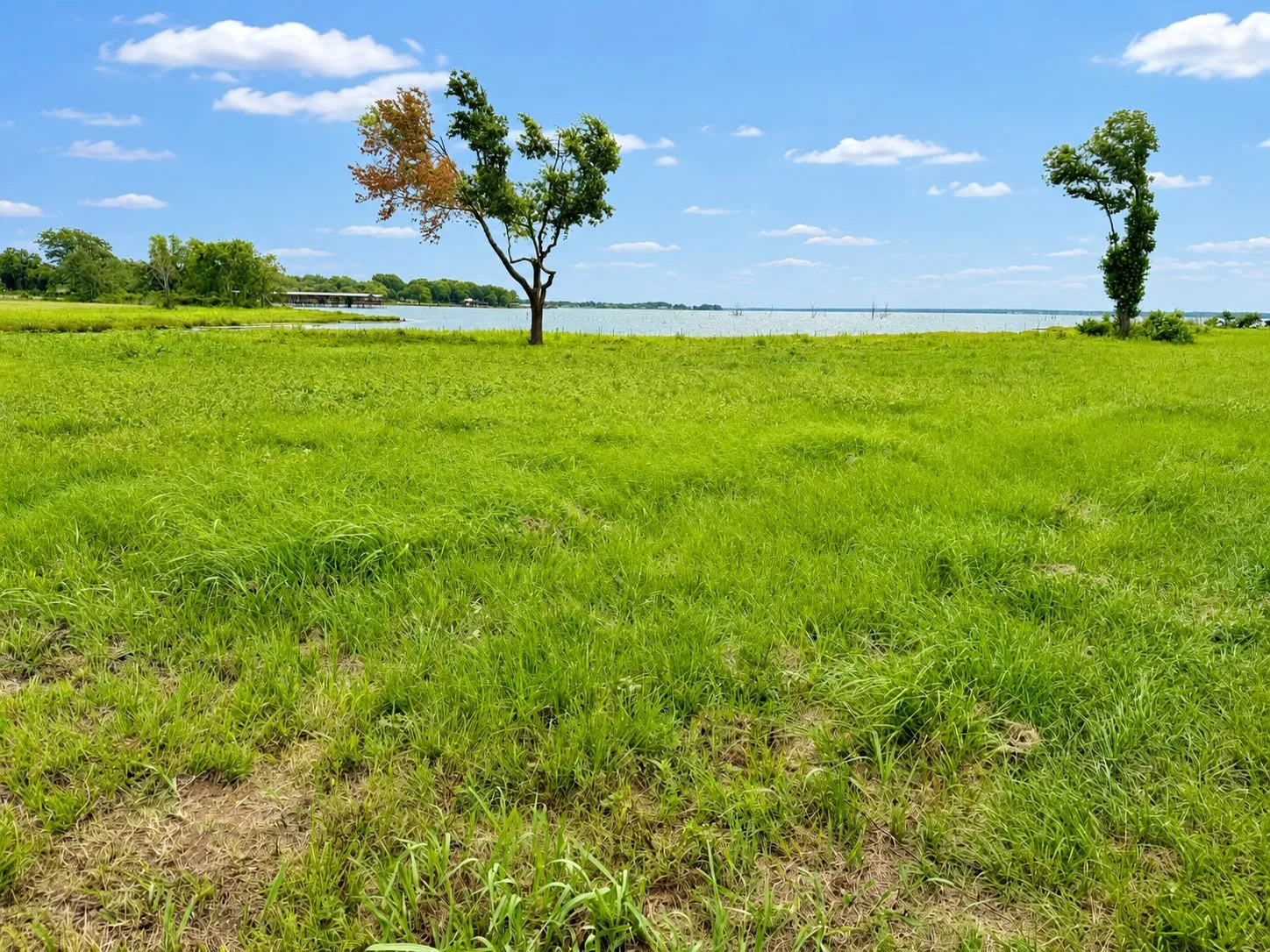 Unimproved Land For Sale in Navarro County , Lot 18 Chandler Drive, Corsicana, Texas 75109, 0, 0, Garage spaces, 0 Sqft, built in 0, mls#21279241, Real Estate Agent in Corsicana, Homes For Sale in Navarro county, Homes For Sale in Corsicana, Realtor in Corsicana Texas, Real Estate Brokerage Independent Realty Texas, Luminita Cordes Realtor