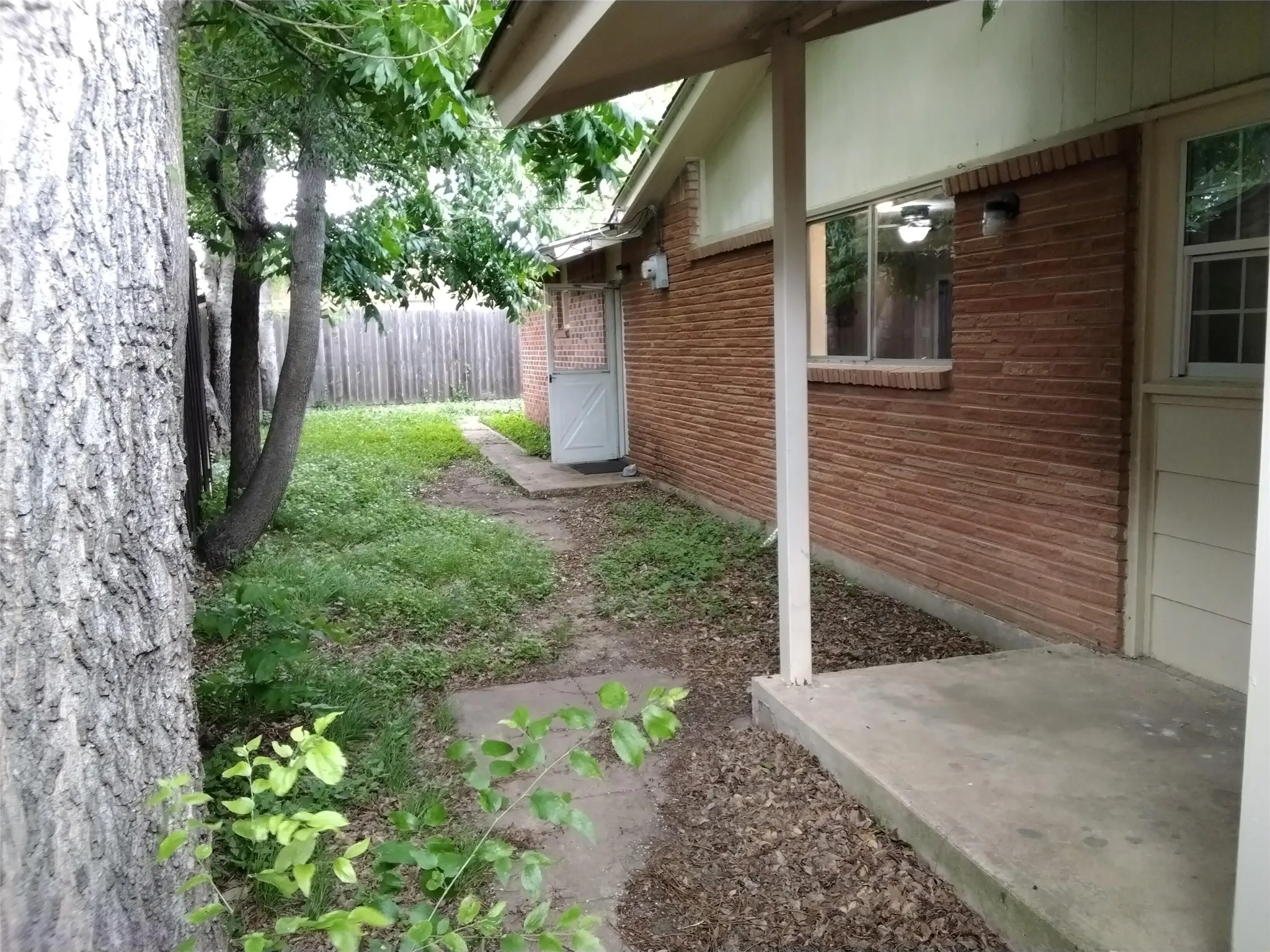 THIS IS "THE BACK YARD"