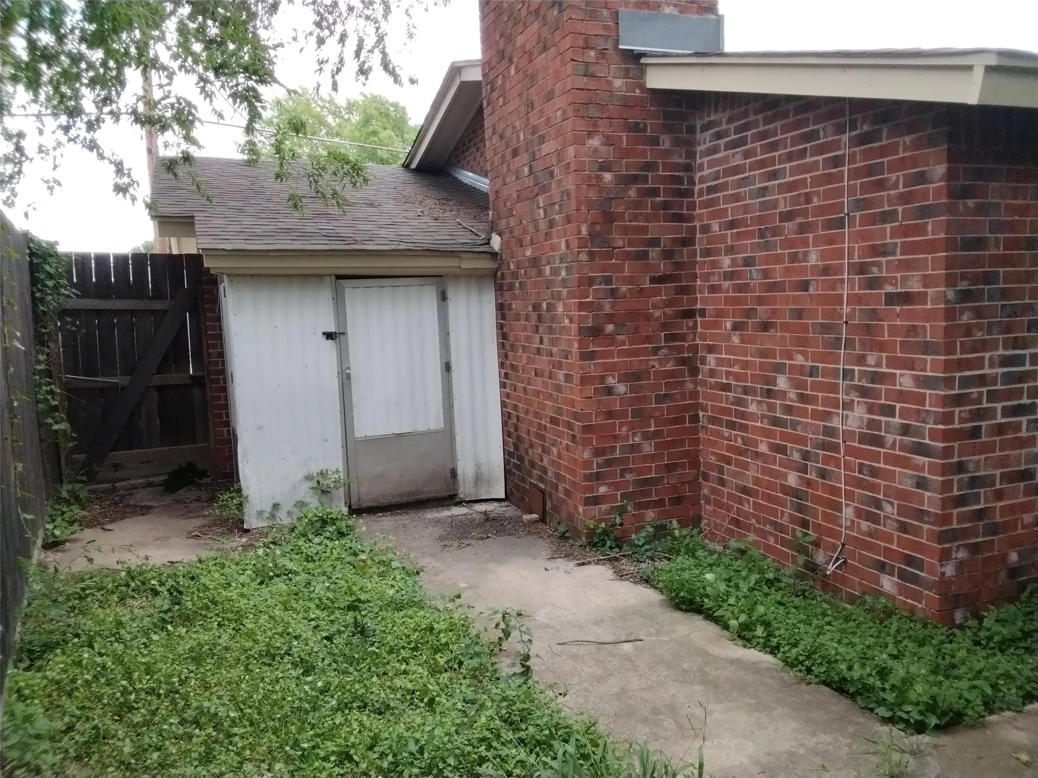 PART OF THE BACK SIDE YARD