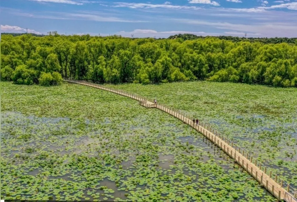 Single Family Residence For Sale in Parker County , 1001 Emery Court, Weatherford, Texas 76087, 3 Bedroom, 3 Bathroom, 3 Garage spaces, 2,670 Sqft, built in 2025, mls#21279600, Real Estate Agent in Weatherford, Homes For Sale in Parker county, Homes For Sale in Weatherford, Realtor in Weatherford Texas, Real Estate Brokerage Independent Realty Texas, Luminita Cordes Realtor
