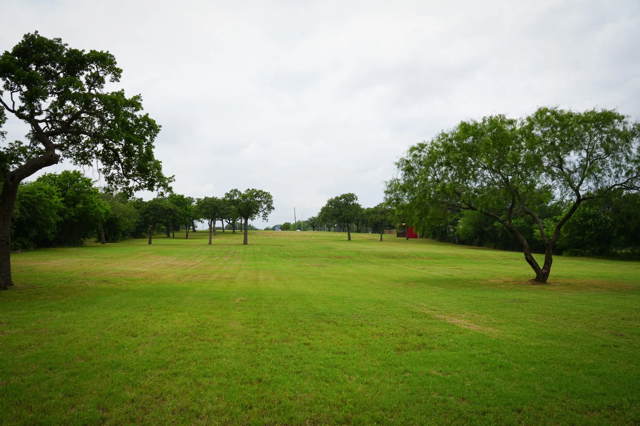 large acreage on hill with trees