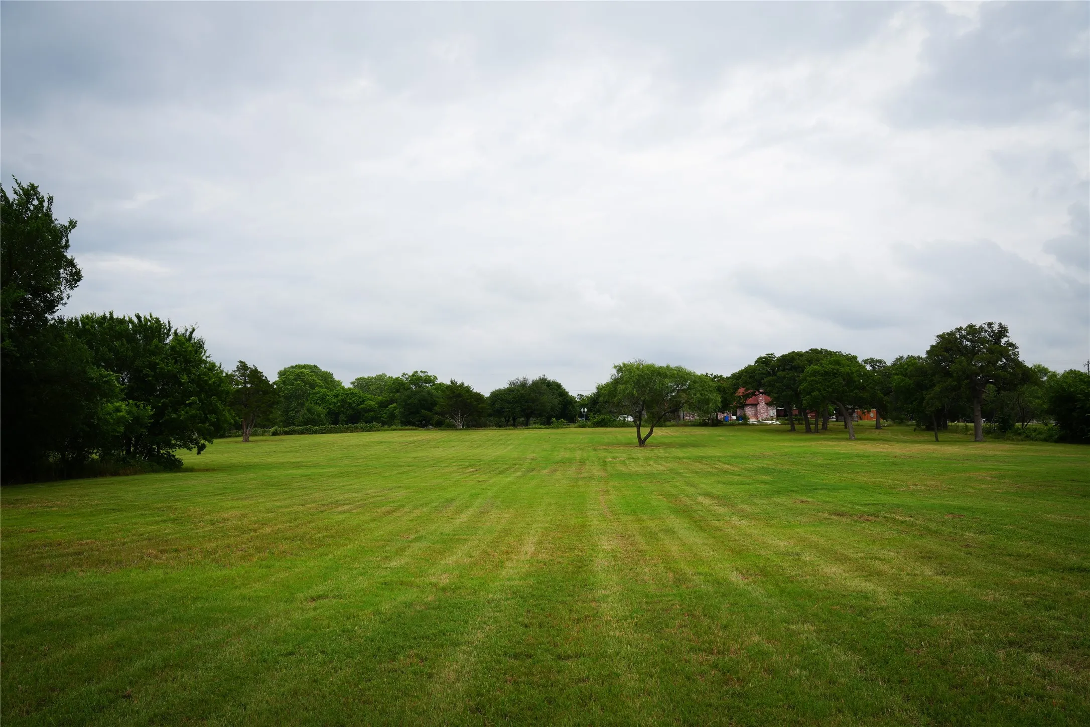 large acreage on hill with trees