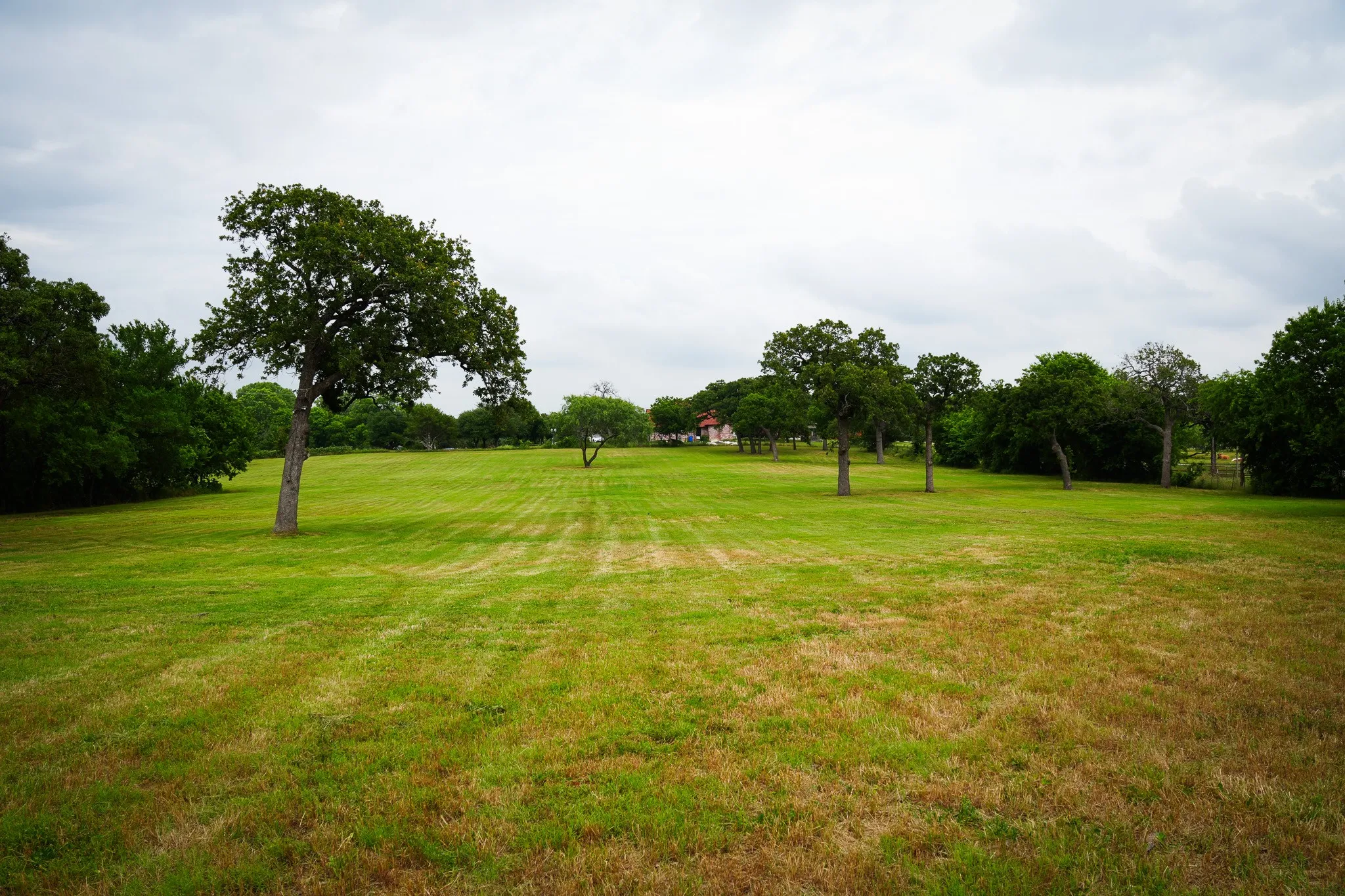 large acreage on hill with trees