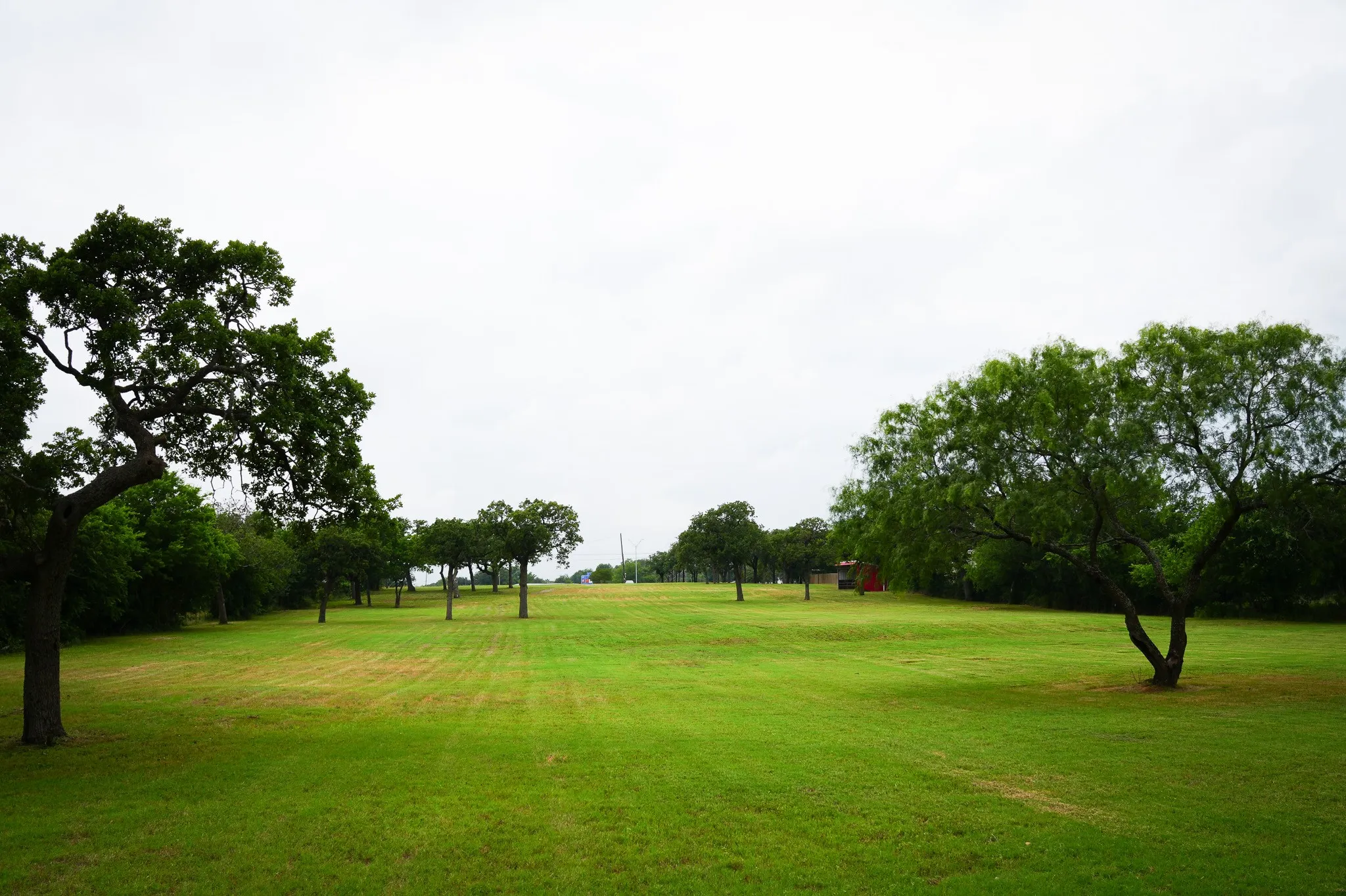 large acreage on hill with trees