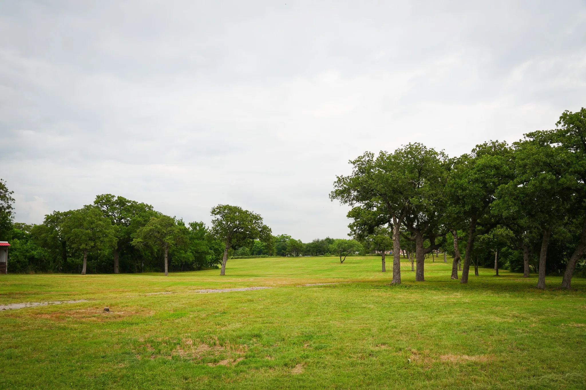 large acreage on hill with trees