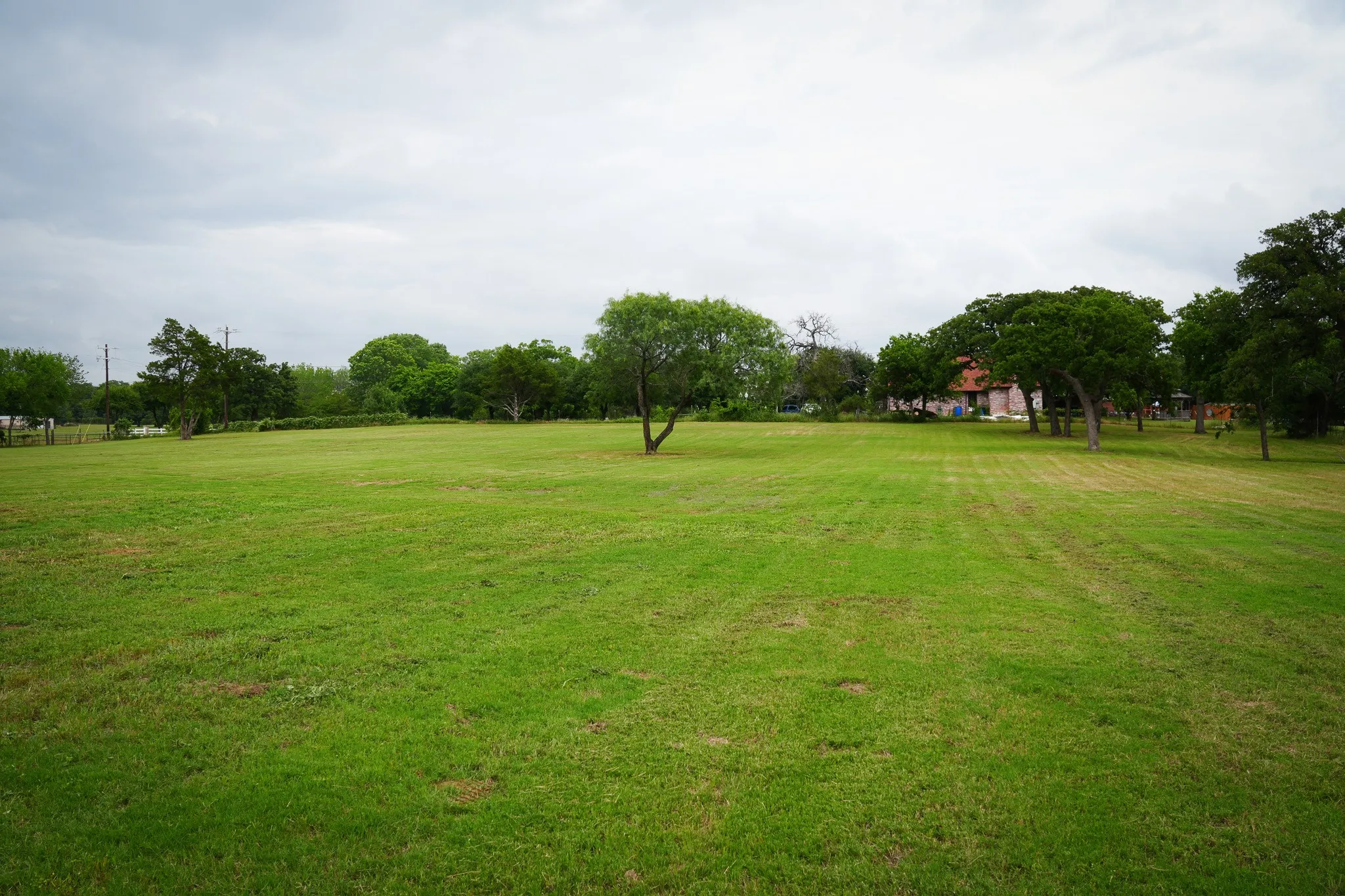 Beautiful land fixed on a hill with trees