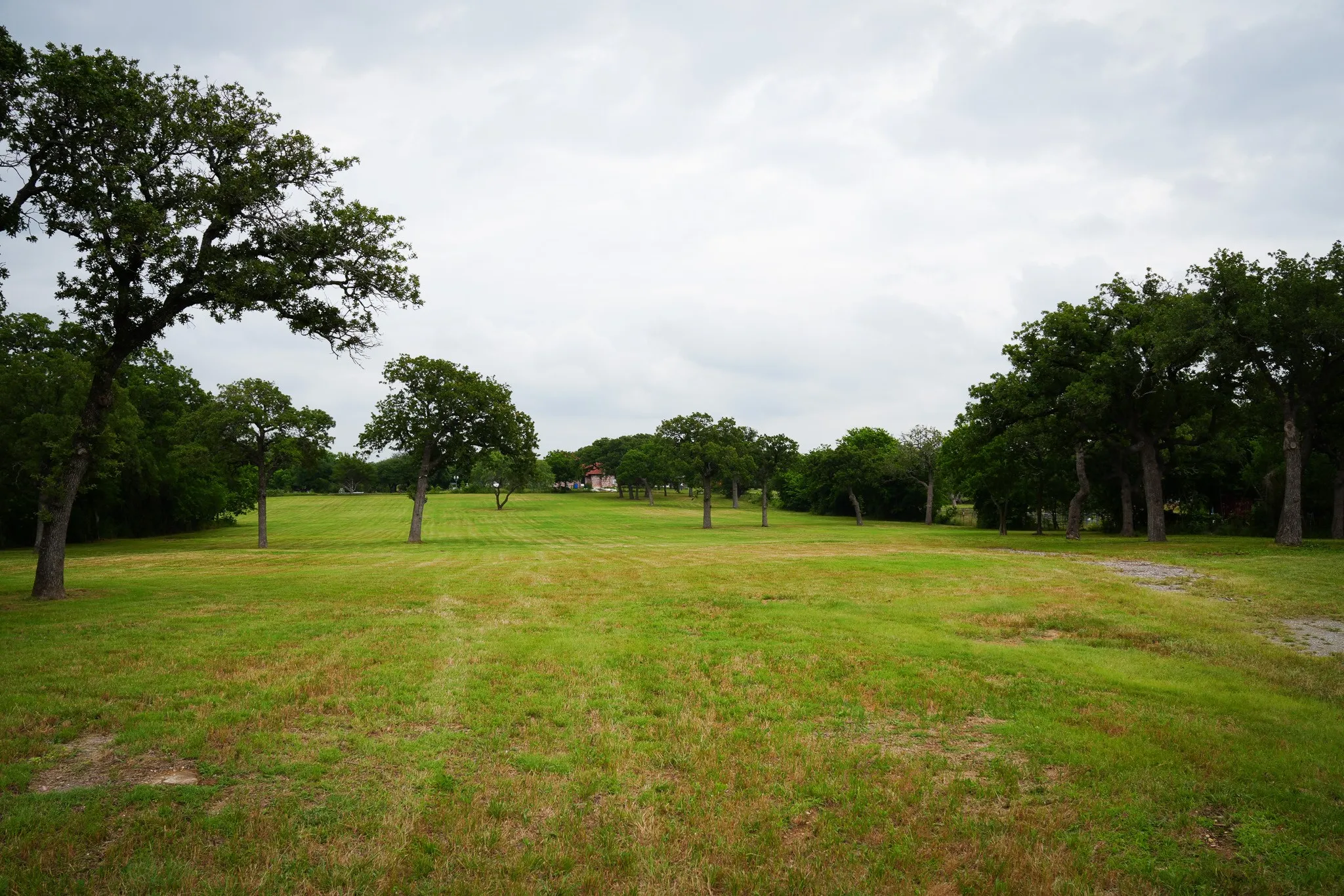 Beautiful land fixed on a hill with trees