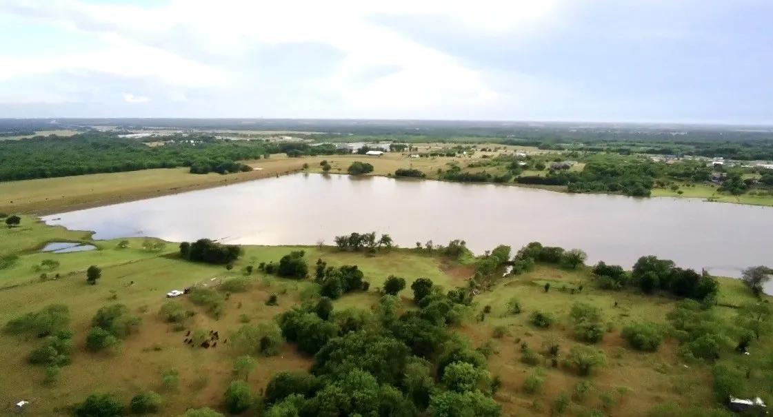 Unimproved Land For Sale in Navarro County , County Road 1030 E, Rice, Texas 75155, 0, 0, Garage spaces, 0 Sqft, built in 0, mls#21279409, Real Estate Agent in Rice, Homes For Sale in Navarro county, Homes For Sale in Rice, Realtor in Rice Texas, Real Estate Brokerage Independent Realty Texas, Luminita Cordes Realtor