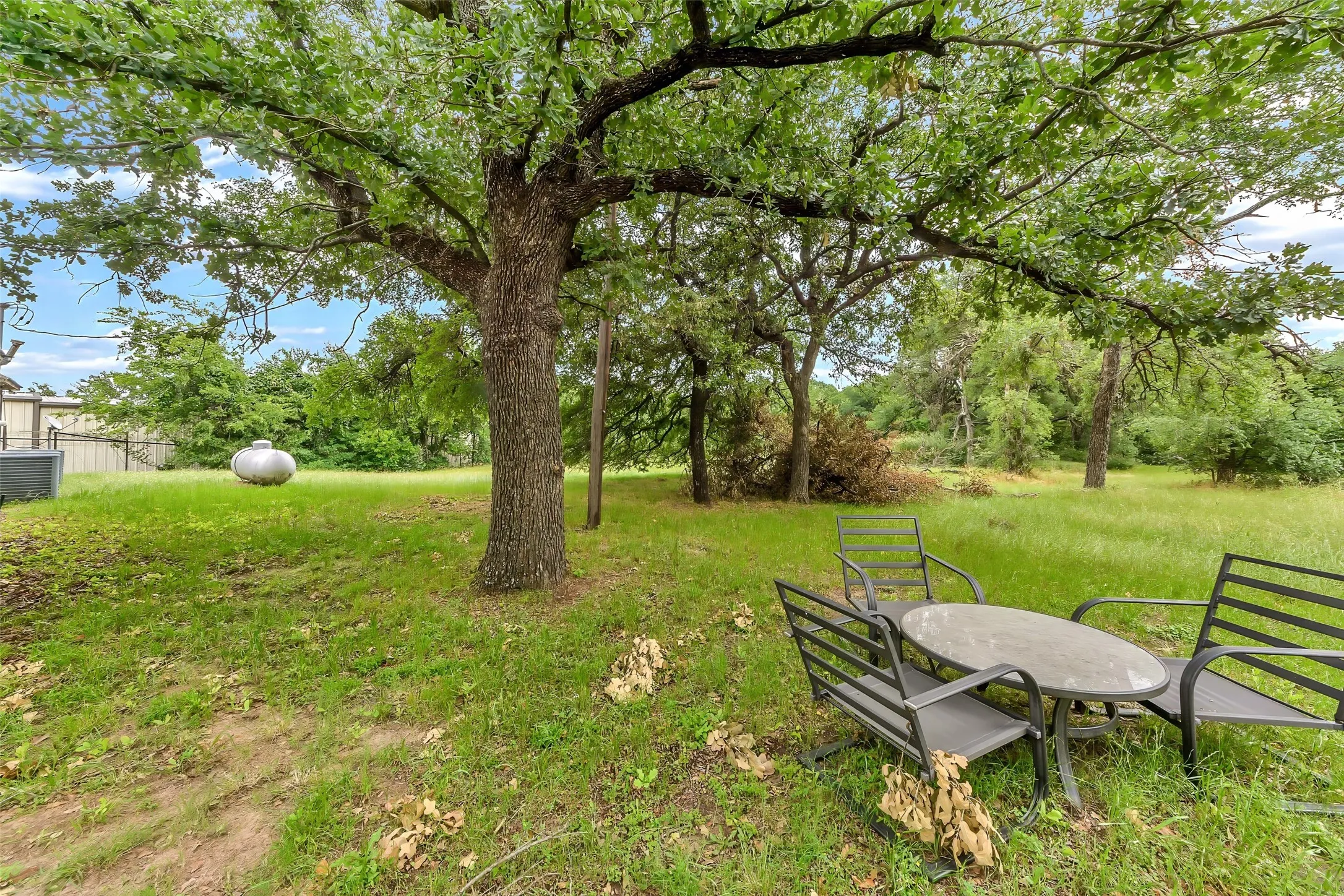 Expansive green space featuring a large mature tree with ample canopy