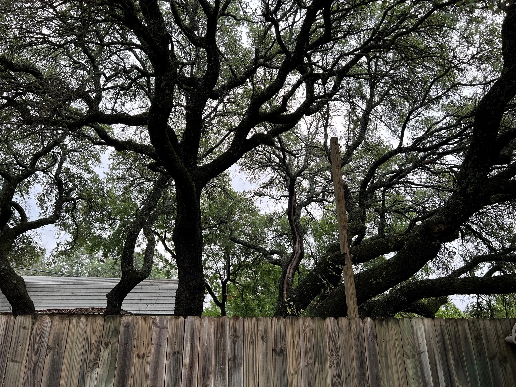 Single Family Residence For Sale in Brown County , 6960 Clifden Drive, Brownwood, Texas 76801, 2 Bedroom, 2 Bathroom, Garage spaces, 1,200 Sqft, built in 1970, mls#21279772, Real Estate Agent in Brownwood, Homes For Sale in Brown county, Homes For Sale in Brownwood, Realtor in Brownwood Texas, Real Estate Brokerage Independent Realty Texas, Luminita Cordes Realtor