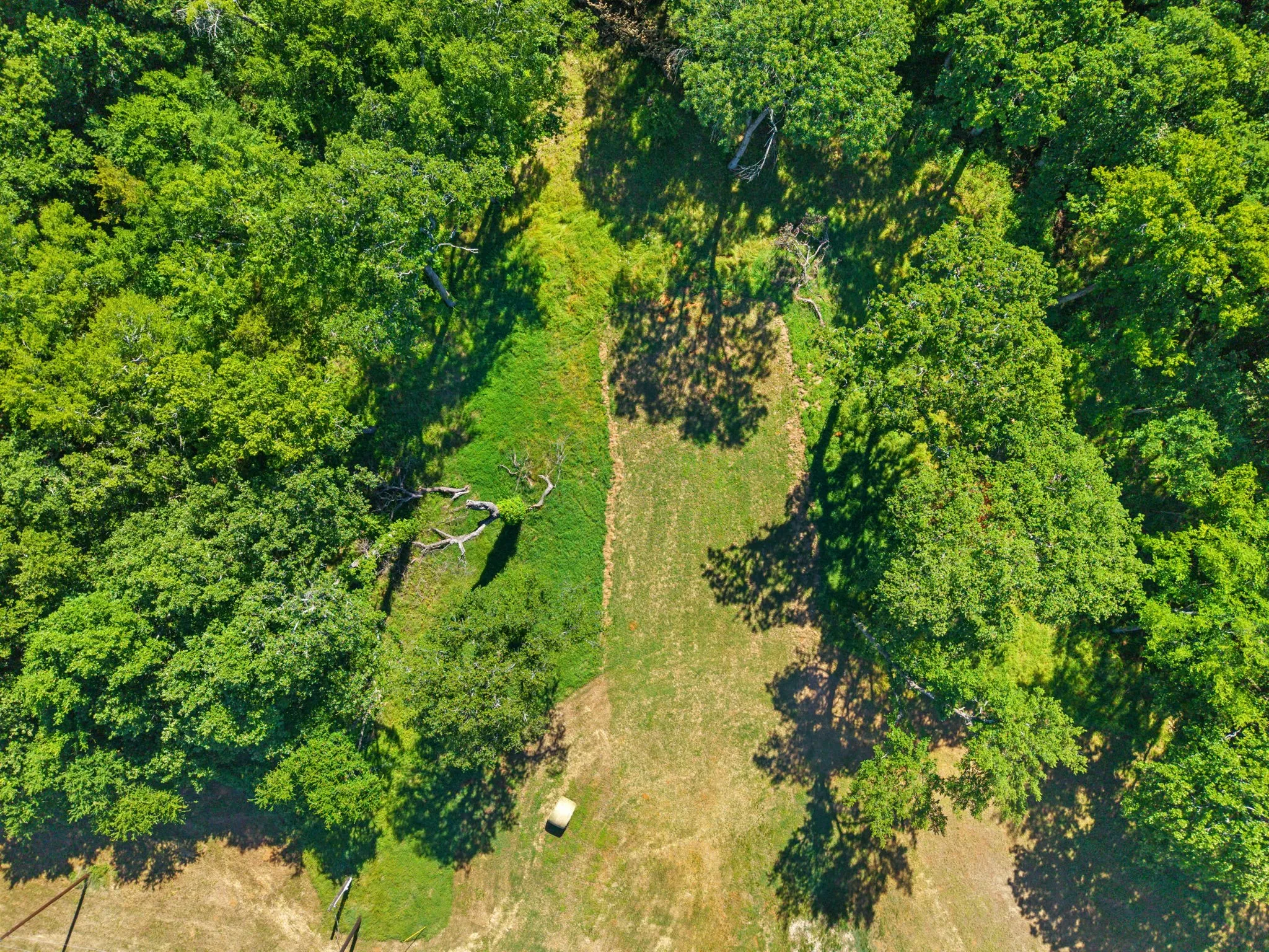 Unimproved Land For Sale in Grayson County , 24708 FM 901, Whitesboro, Texas 76273, 0, 0, Garage spaces, 0 Sqft, built in 0, Price $775,000, mls#21255928, Real Estate Agent in Whitesboro, Homes For Sale in Grayson county, Homes For Sale in Whitesboro, Realtor in Whitesboro Texas, Real Estate Brokerage Independent Realty Texas, Luminita Cordes Realtor
