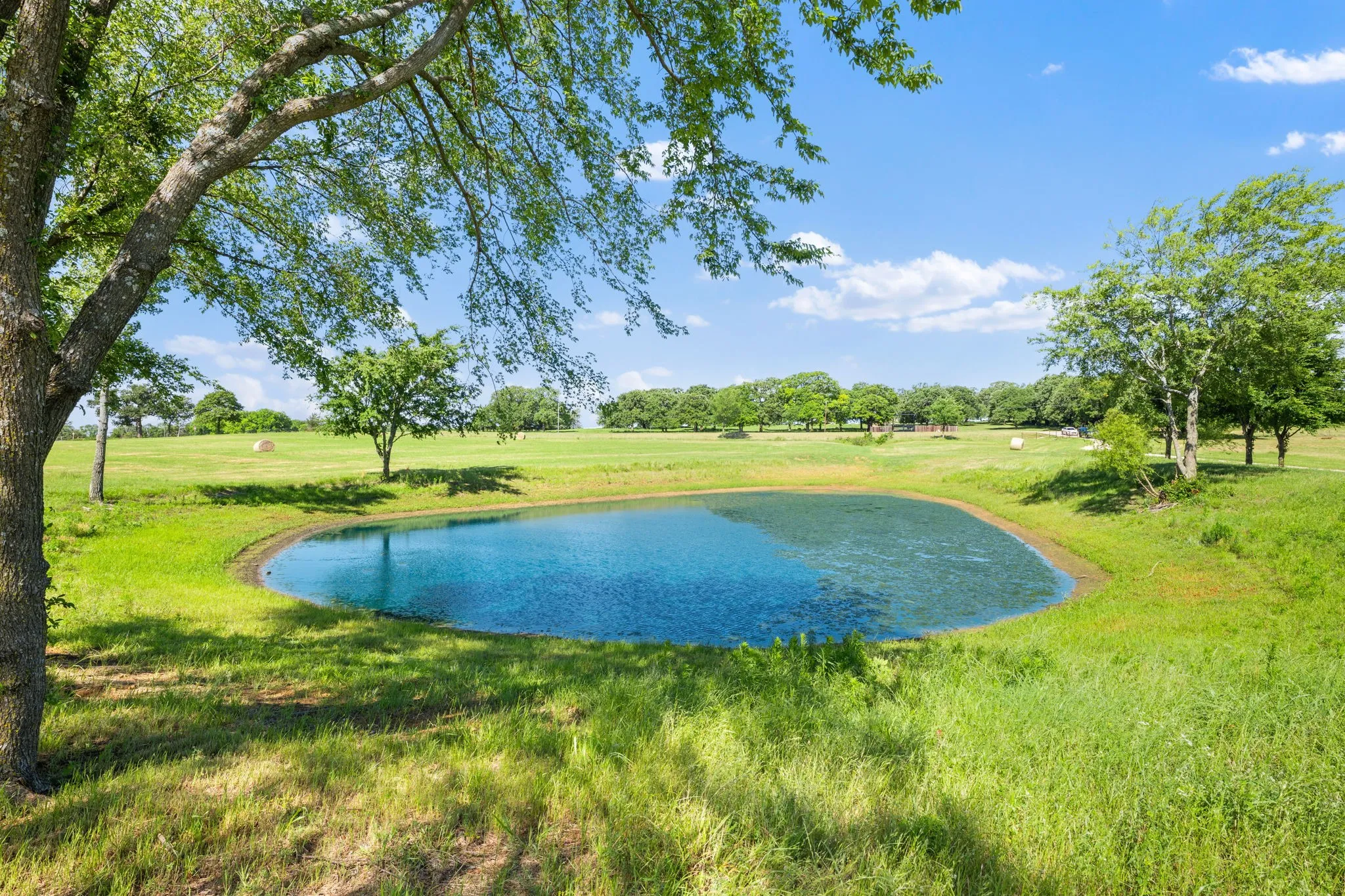 Unimproved Land For Sale in Grayson County , 24708 FM 901, Whitesboro, Texas 76273, 0, 0, Garage spaces, 0 Sqft, built in 0, Price $775,000, mls#21255928, Real Estate Agent in Whitesboro, Homes For Sale in Grayson county, Homes For Sale in Whitesboro, Realtor in Whitesboro Texas, Real Estate Brokerage Independent Realty Texas, Luminita Cordes Realtor