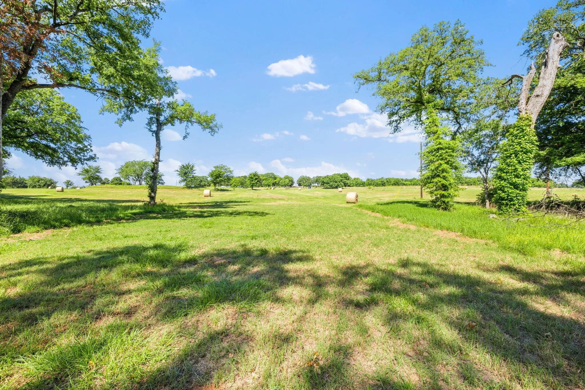 Unimproved Land For Sale in Grayson County , 24708 FM 901, Whitesboro, Texas 76273, 0, 0, Garage spaces, 0 Sqft, built in 0, Price $775,000, mls#21255928, Real Estate Agent in Whitesboro, Homes For Sale in Grayson county, Homes For Sale in Whitesboro, Realtor in Whitesboro Texas, Real Estate Brokerage Independent Realty Texas, Luminita Cordes Realtor