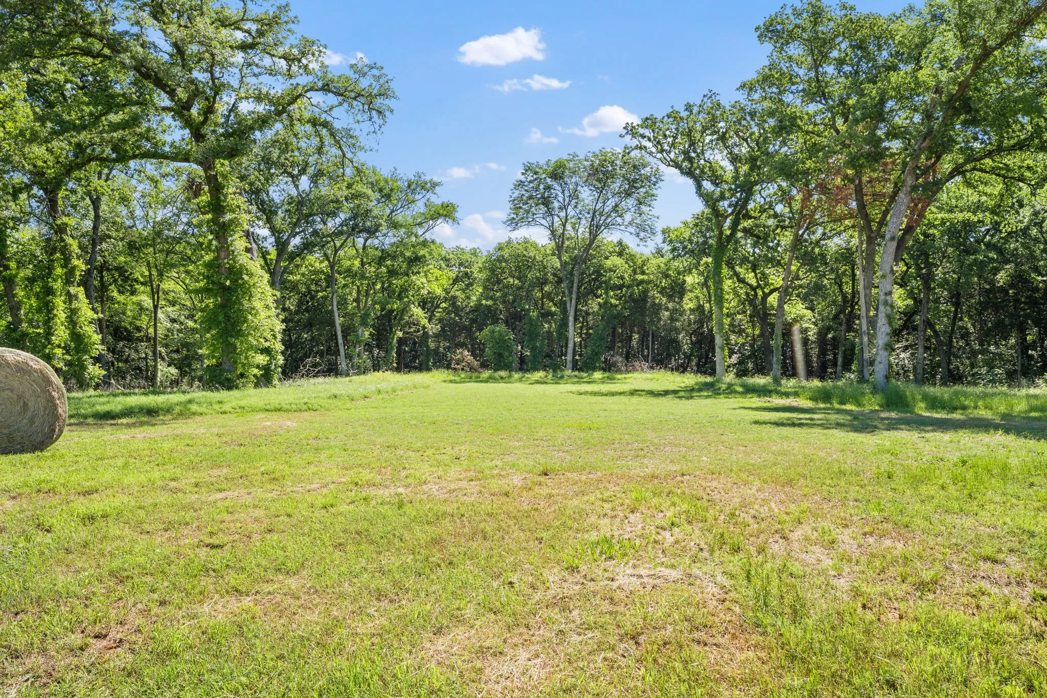 Unimproved Land For Sale in Grayson County , 24708 FM 901, Whitesboro, Texas 76273, 0, 0, Garage spaces, 0 Sqft, built in 0, Price $775,000, mls#21255928, Real Estate Agent in Whitesboro, Homes For Sale in Grayson county, Homes For Sale in Whitesboro, Realtor in Whitesboro Texas, Real Estate Brokerage Independent Realty Texas, Luminita Cordes Realtor