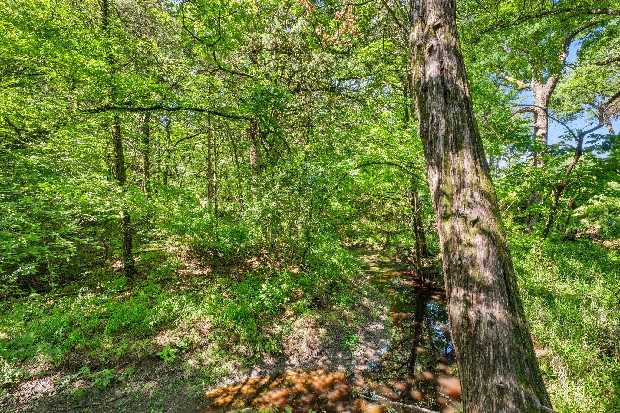 Unimproved Land For Sale in Grayson County , 24708 FM 901, Whitesboro, Texas 76273, 0, 0, Garage spaces, 0 Sqft, built in 0, Price $775,000, mls#21255928, Real Estate Agent in Whitesboro, Homes For Sale in Grayson county, Homes For Sale in Whitesboro, Realtor in Whitesboro Texas, Real Estate Brokerage Independent Realty Texas, Luminita Cordes Realtor
