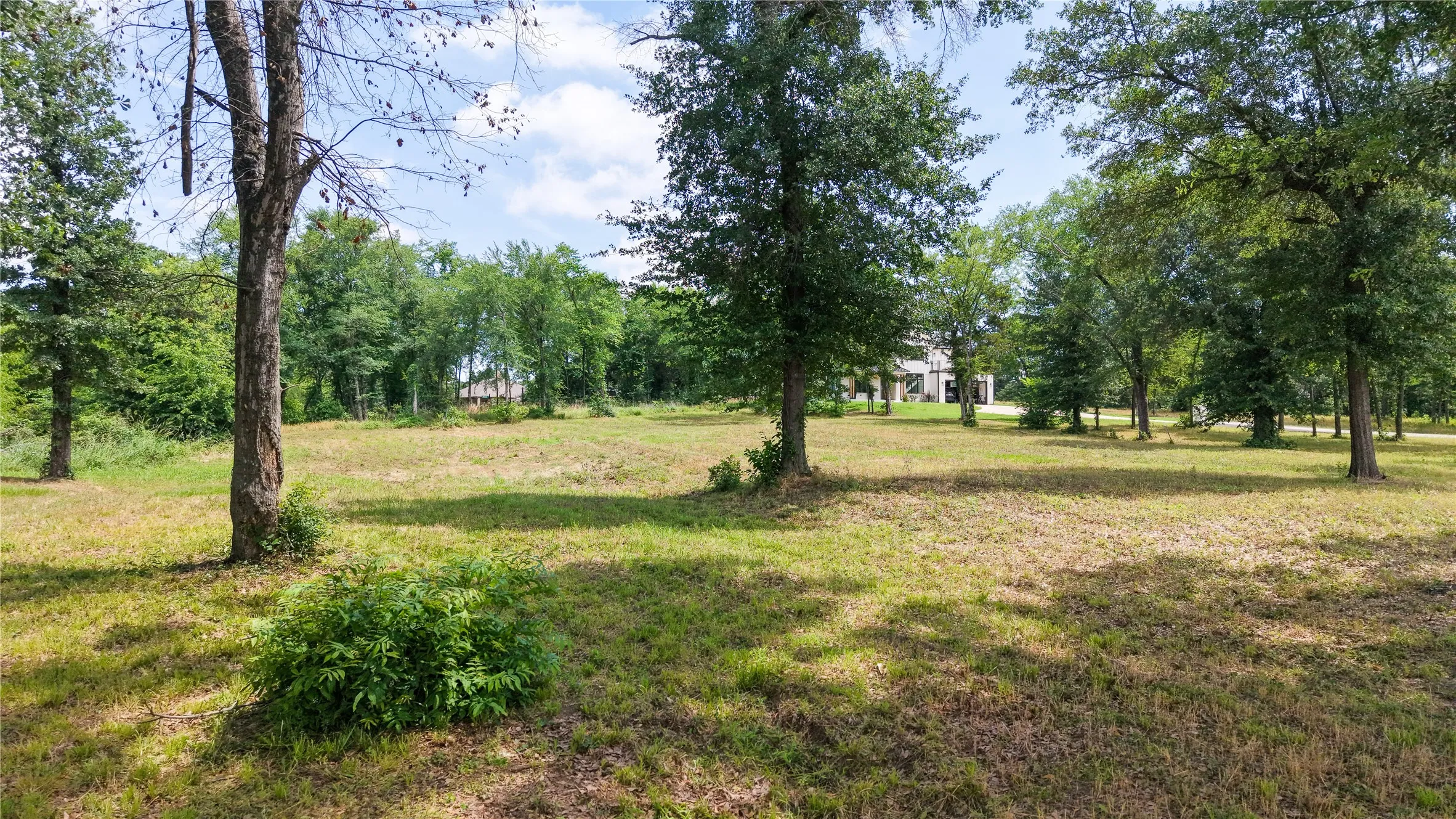 Cleared lot with beautiful mature trees and natural surroundings